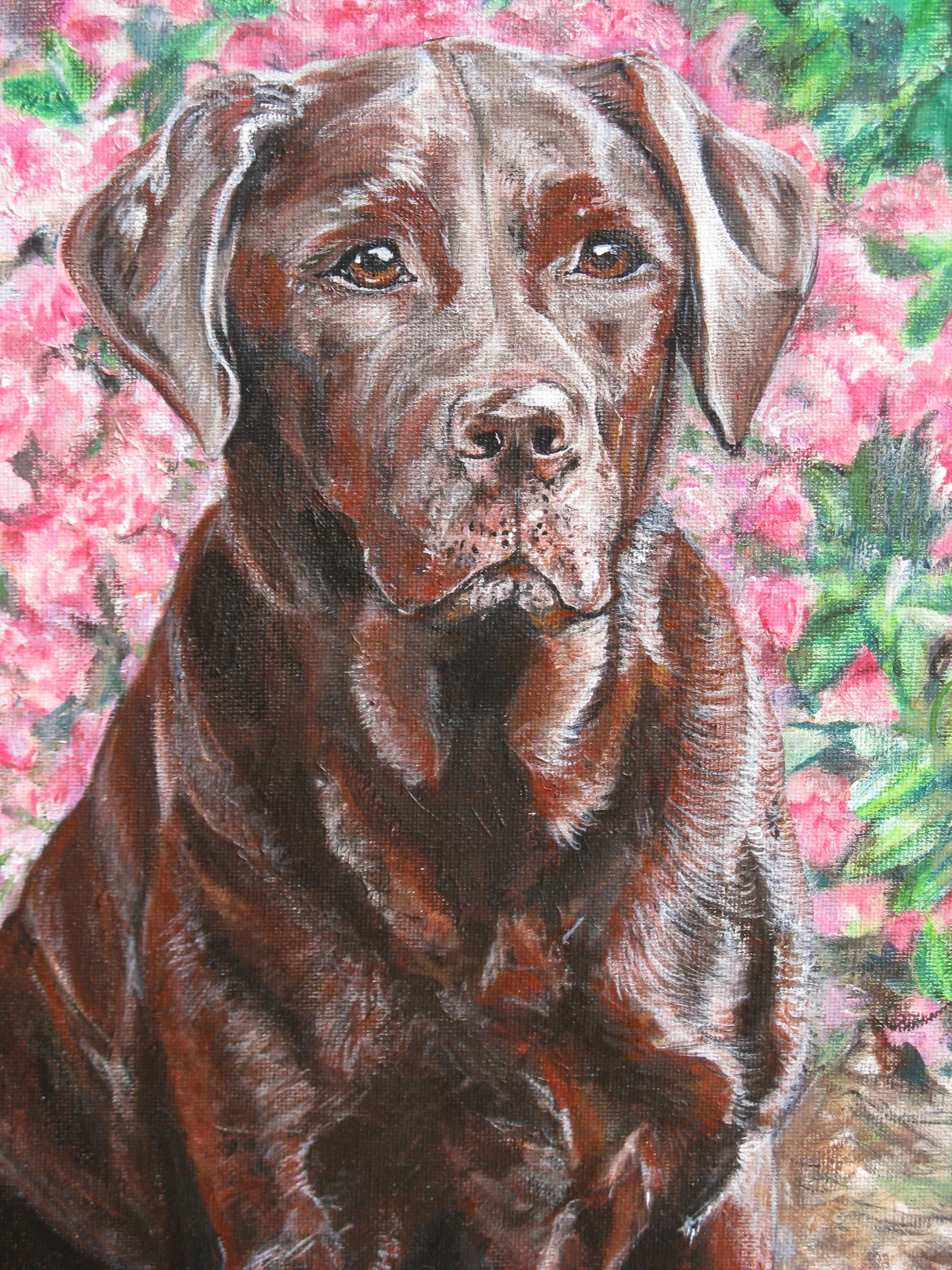 "Kola"