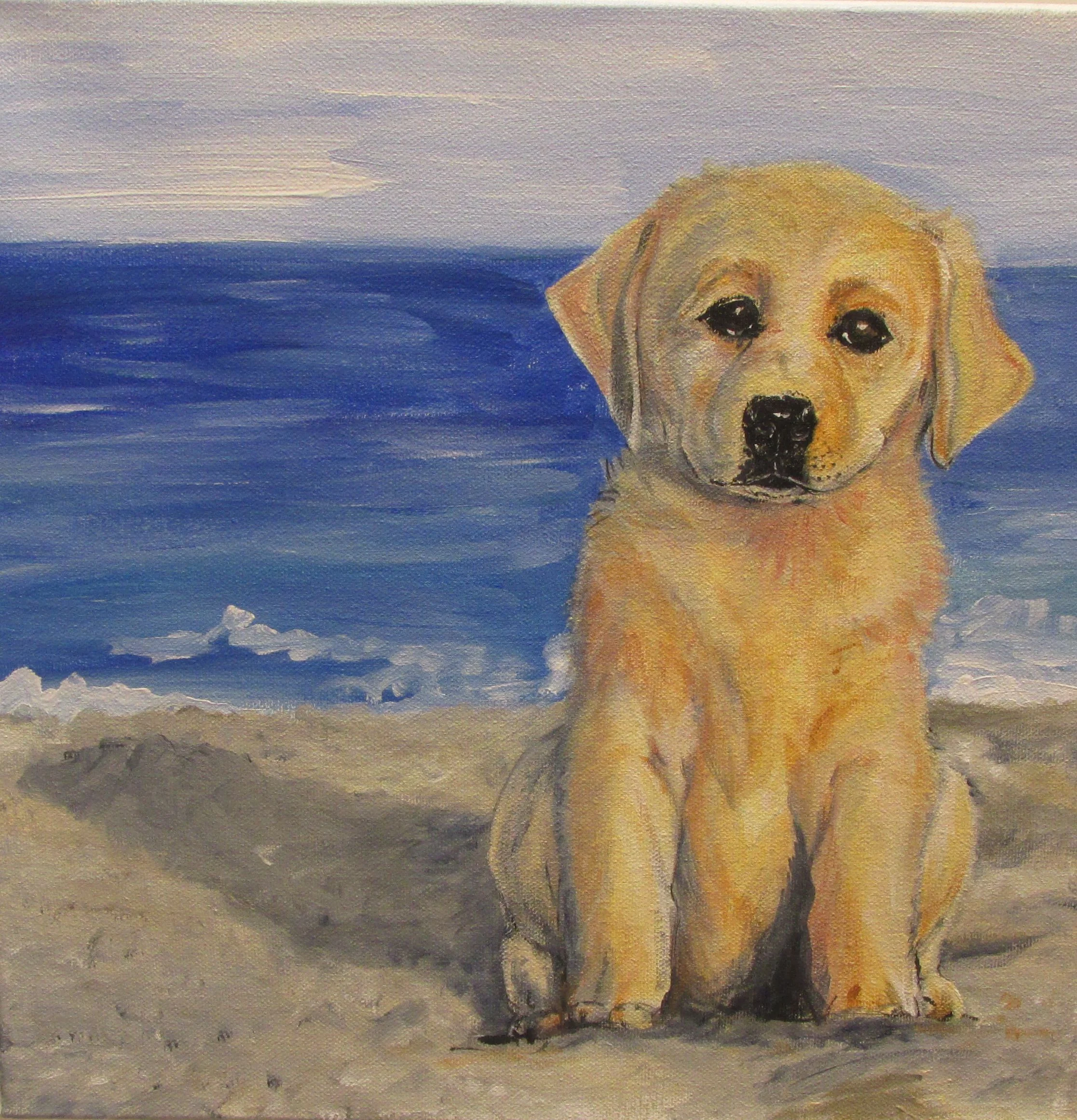 "Beach Puppy"