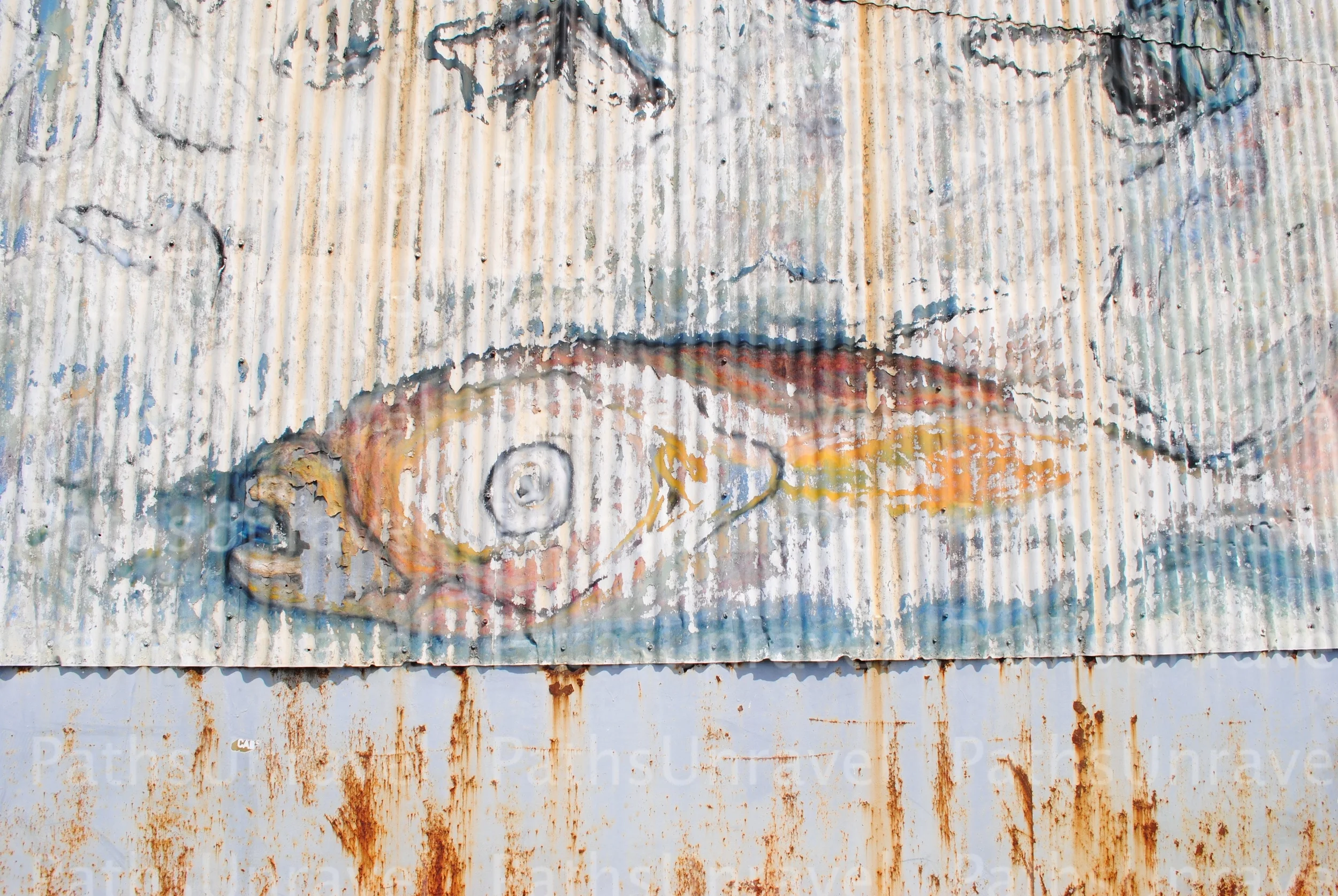 Fish Painting