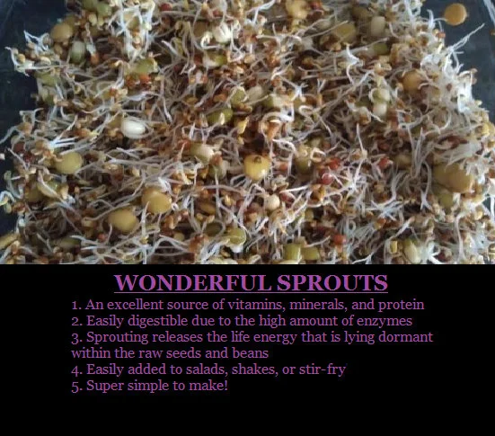 DIY Sprouting