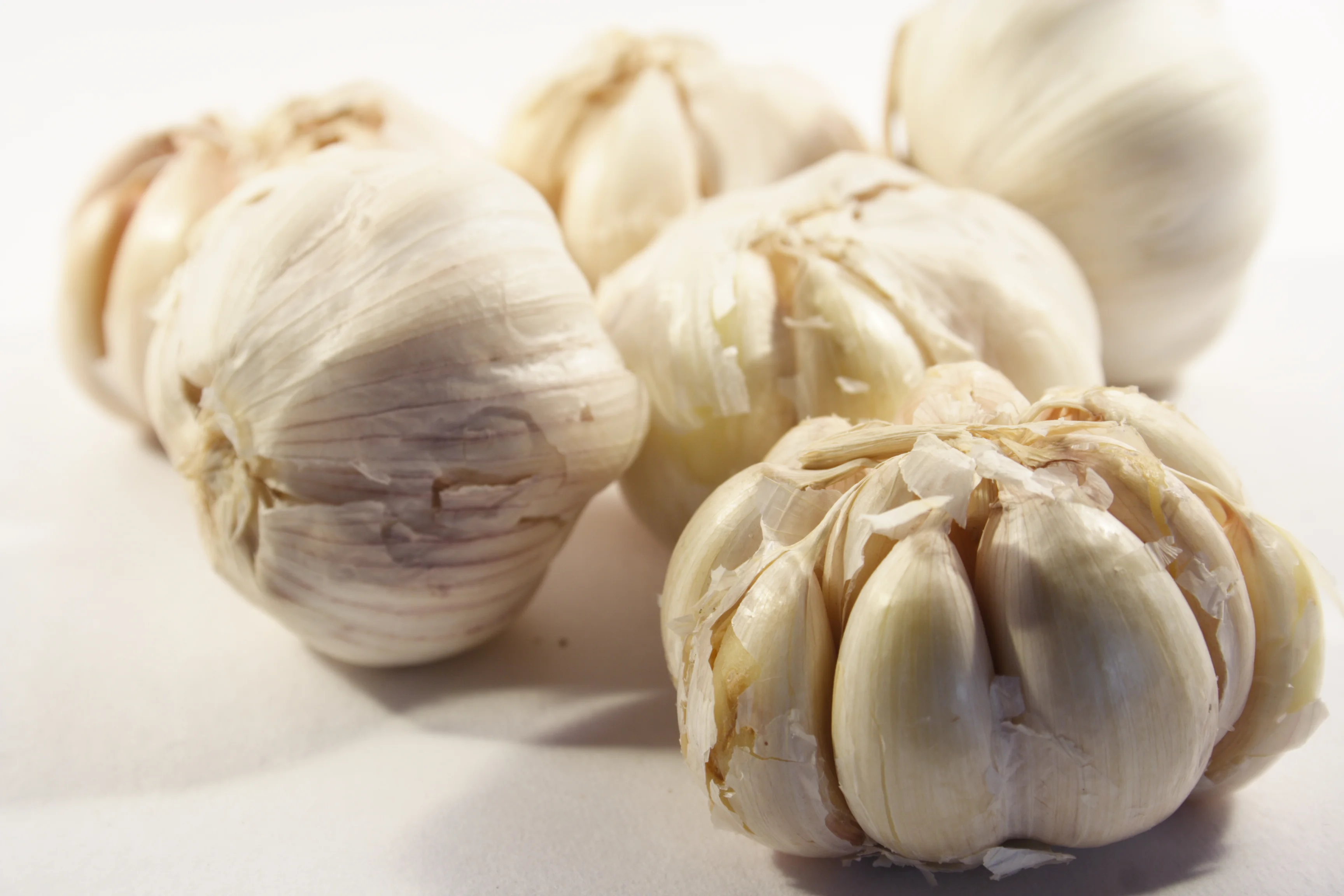 Natural Ear Infection Remedy