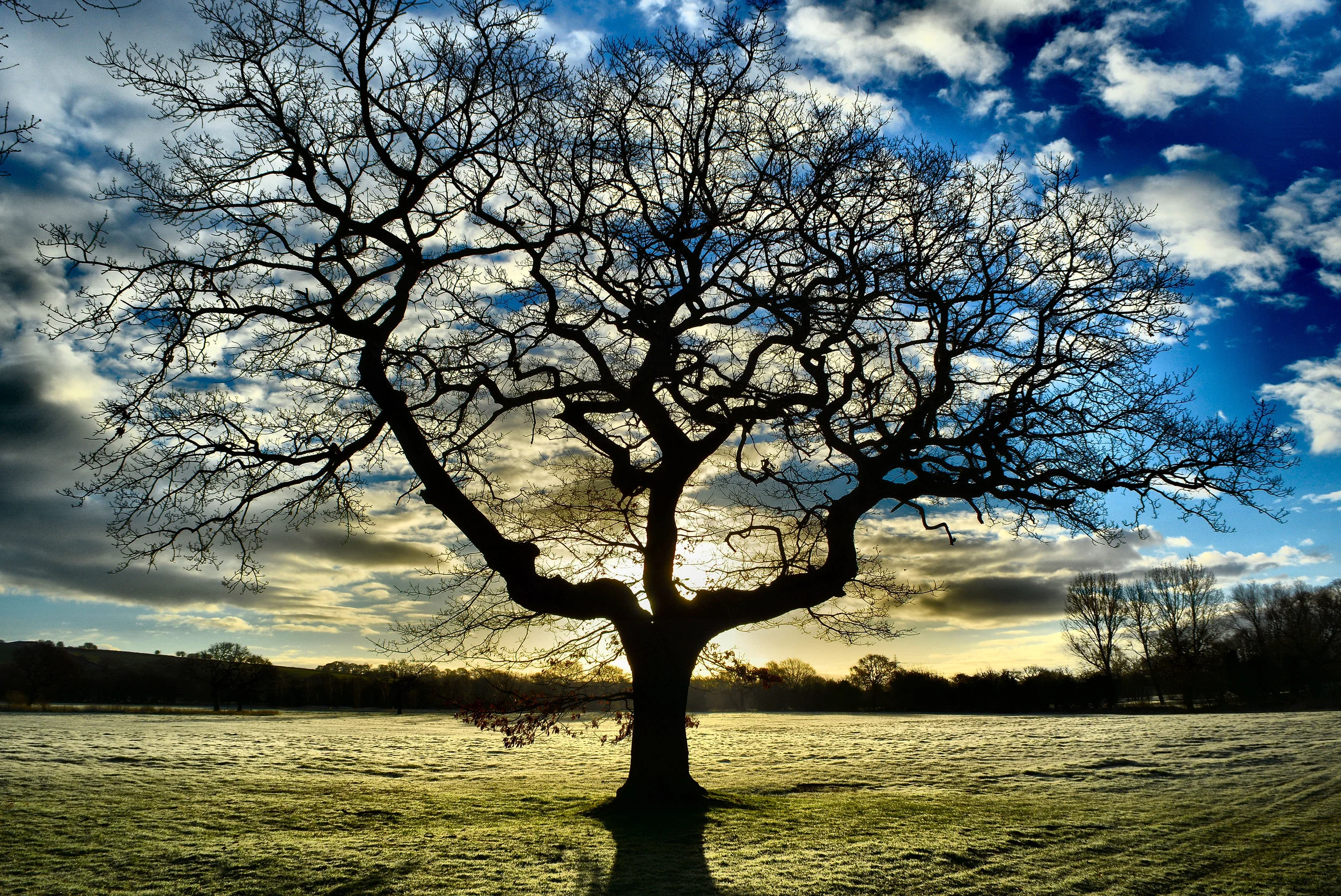 Why I'm Becoming A Certified Doula