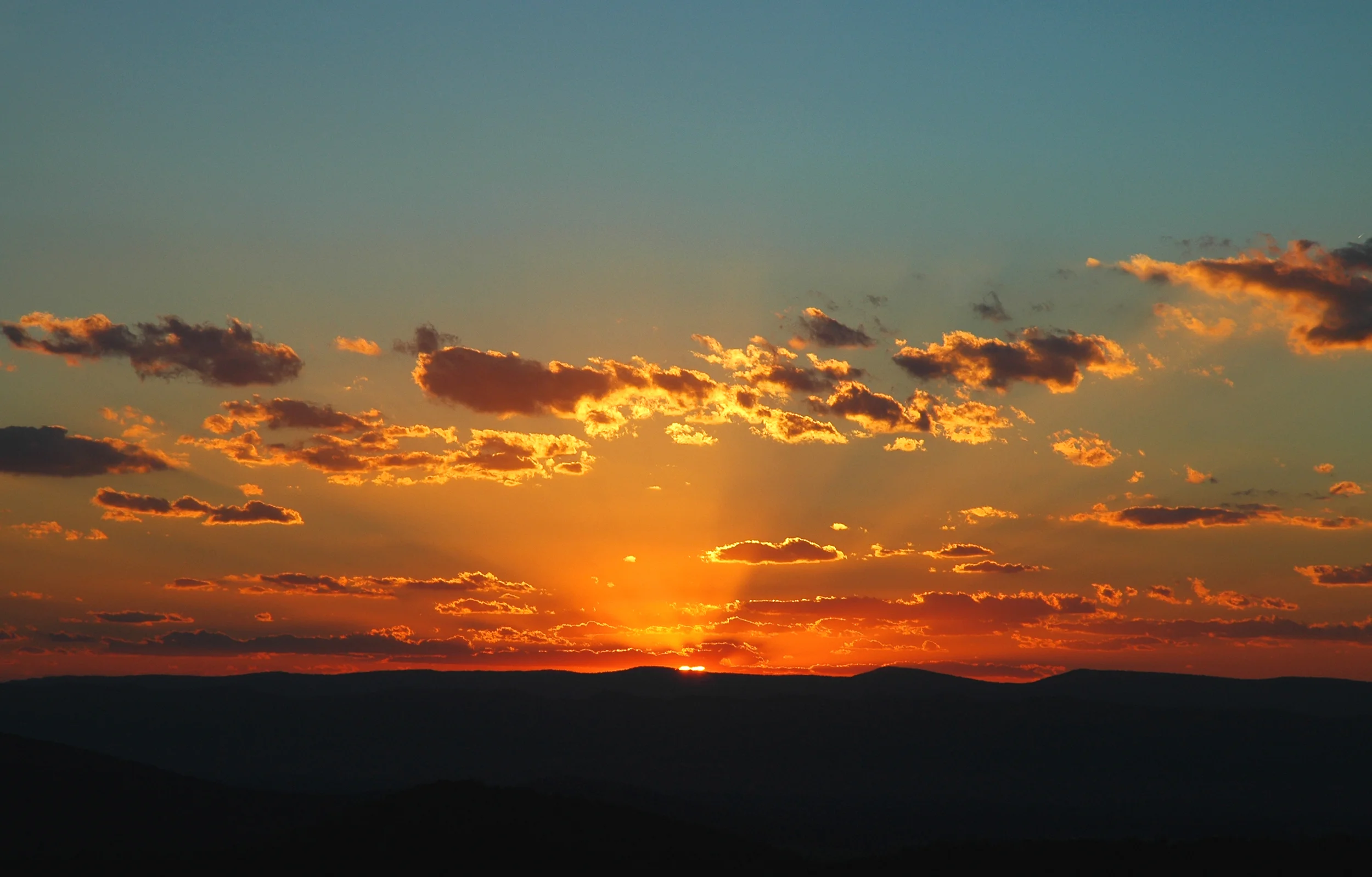 International Day of Peace