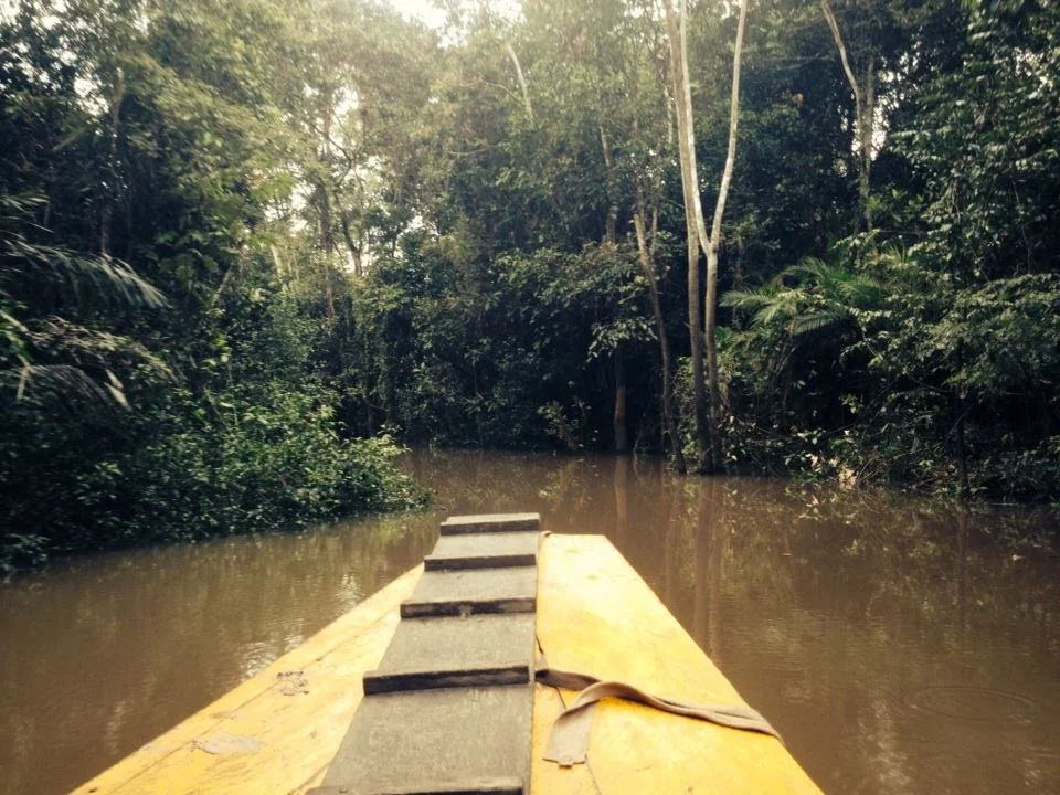 The Countdown Begins: 33 Days Until I'm Back In The Jungle!