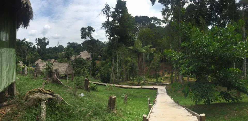 Big News After My Shamanic Initiation Course!