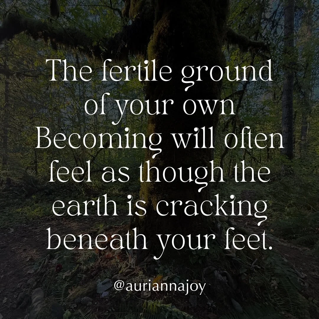 I adore meeting women in the fertile ground of their Becoming 🌹

The fertile ground of your Becoming will often feel as though the earth is cracking beneath your feet.

The moments when the ground you stood on no longer holds you..

The moments when