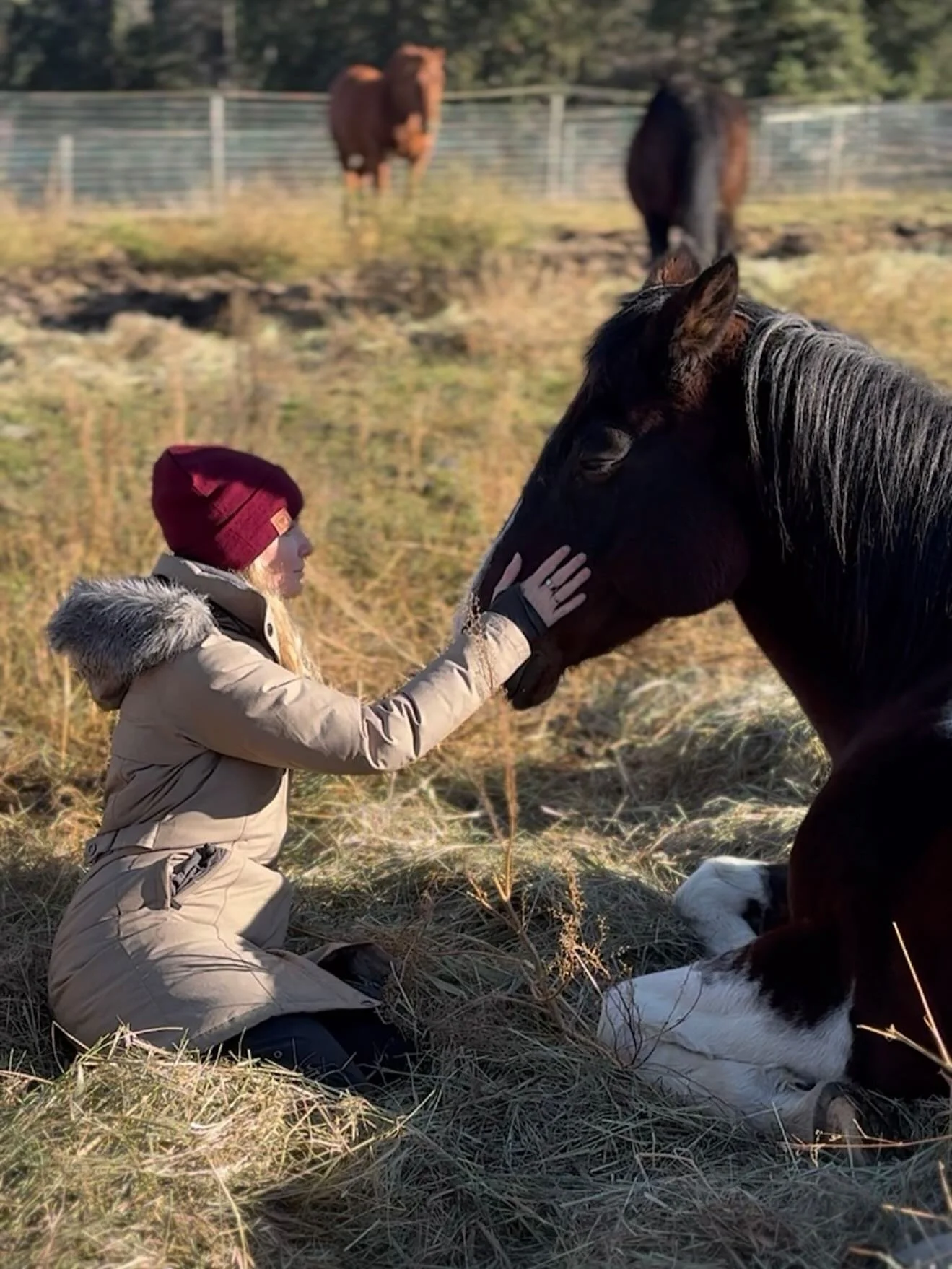 Bless the Wisdom Path that knowingly beckons us forward through the darkness.

Bless the courage it takes to walk blindly into The Mysterious Unknown, trusting with each unseen step that more will be revealed 💫 

📸 by @hillaryepona
