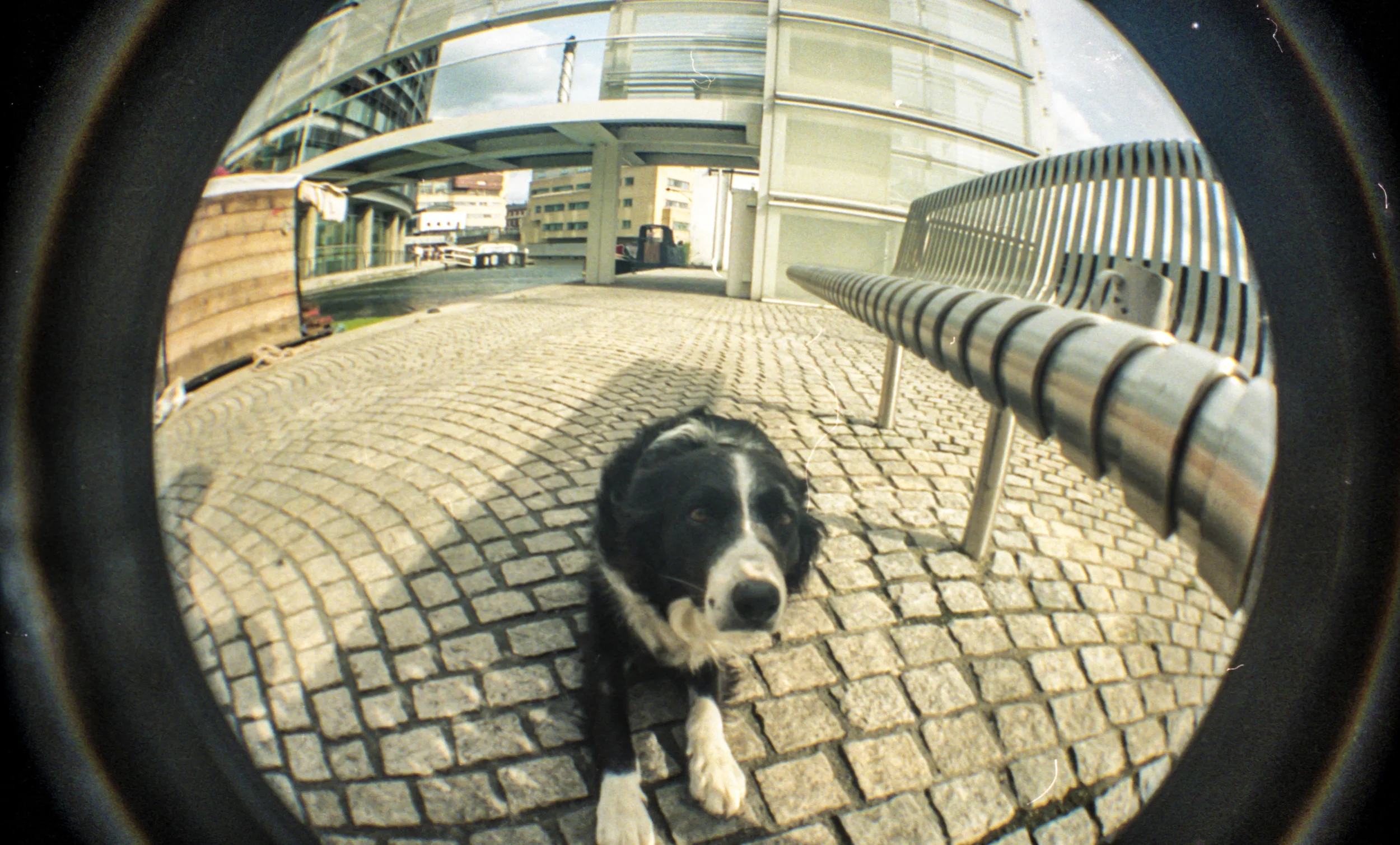 img023.jpg