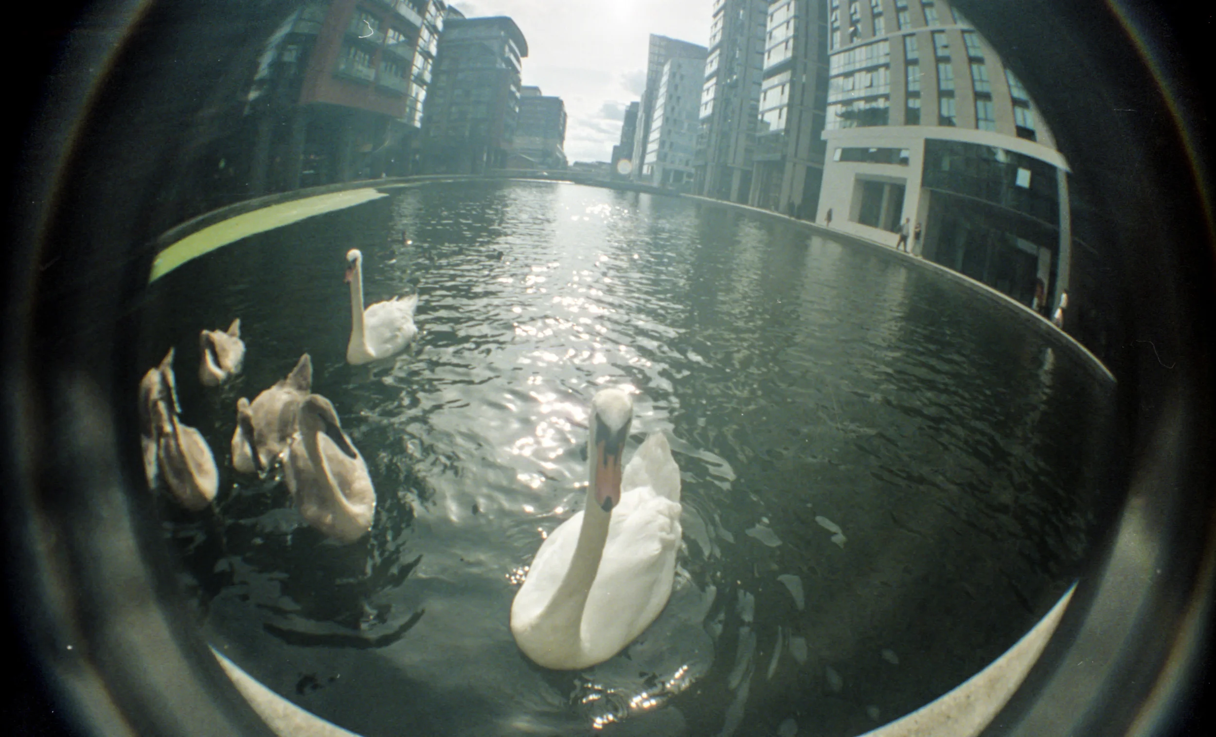 img024.jpg