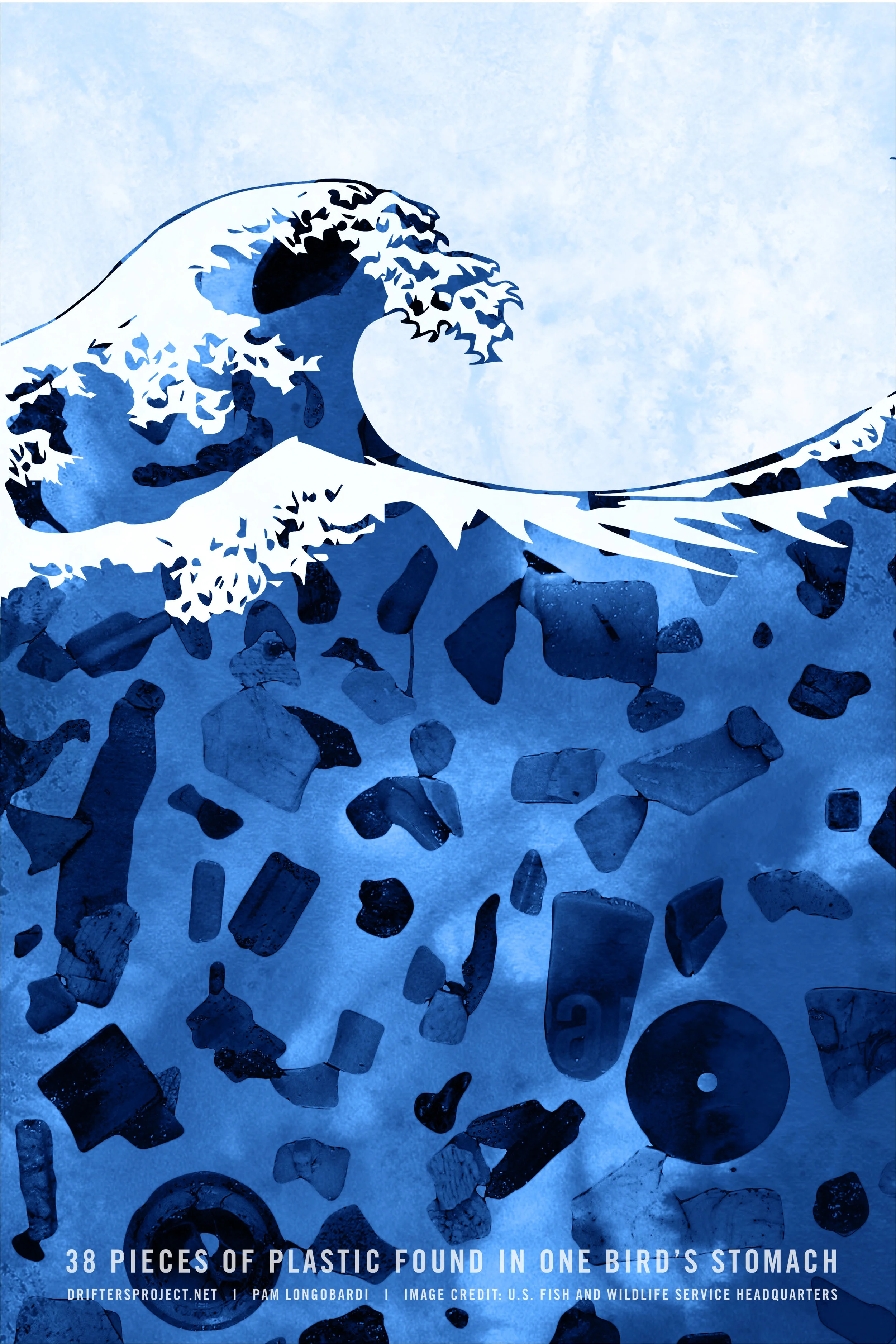 One Bird // Digital Illustration and LetterpressThis digitally rendered print illustrates the physical contents of a dead bird's stomach floating around the ocean, the origin in which the bird ate the debris. This poster serves as a call to action t…