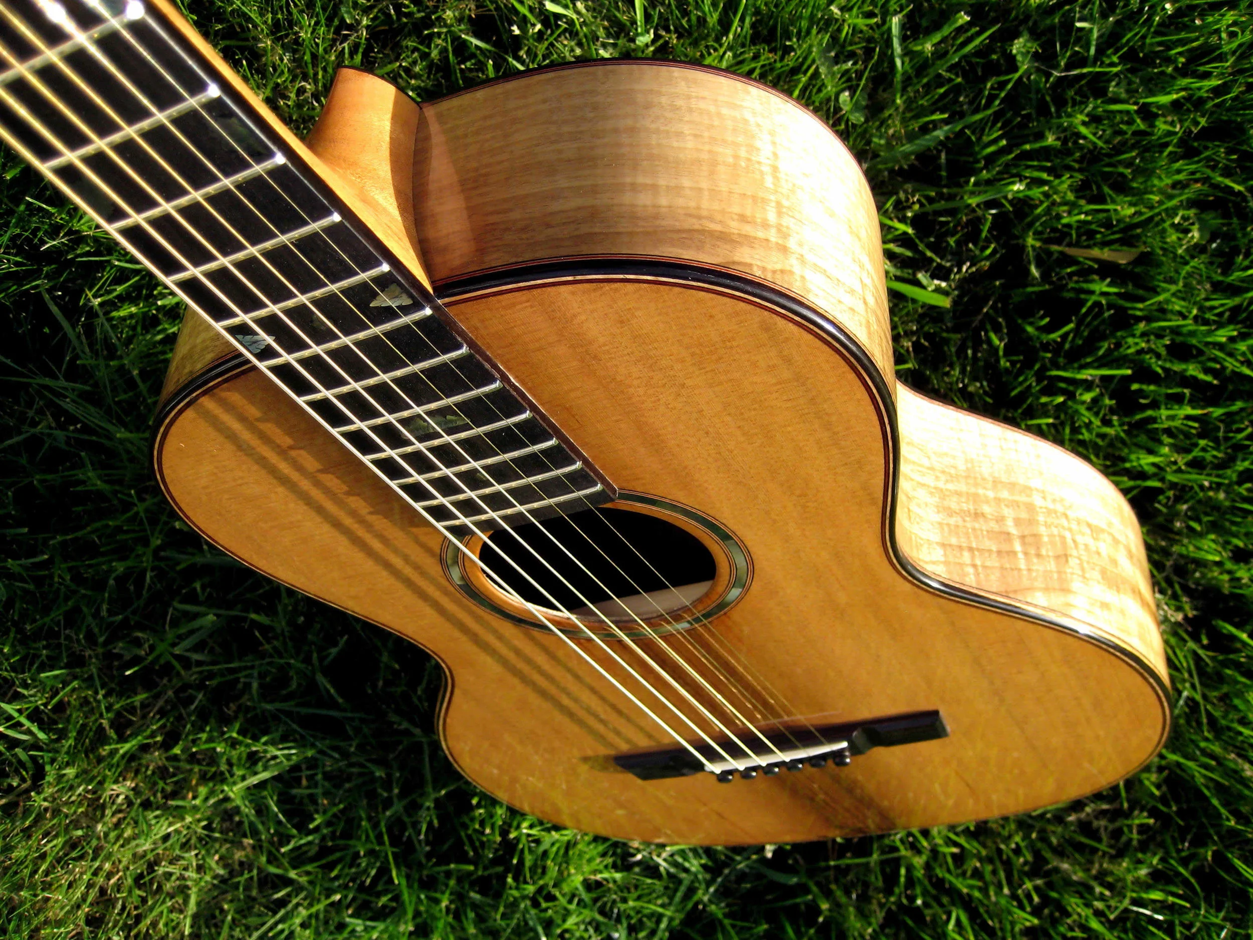 Myrtle & Sinker Cedar