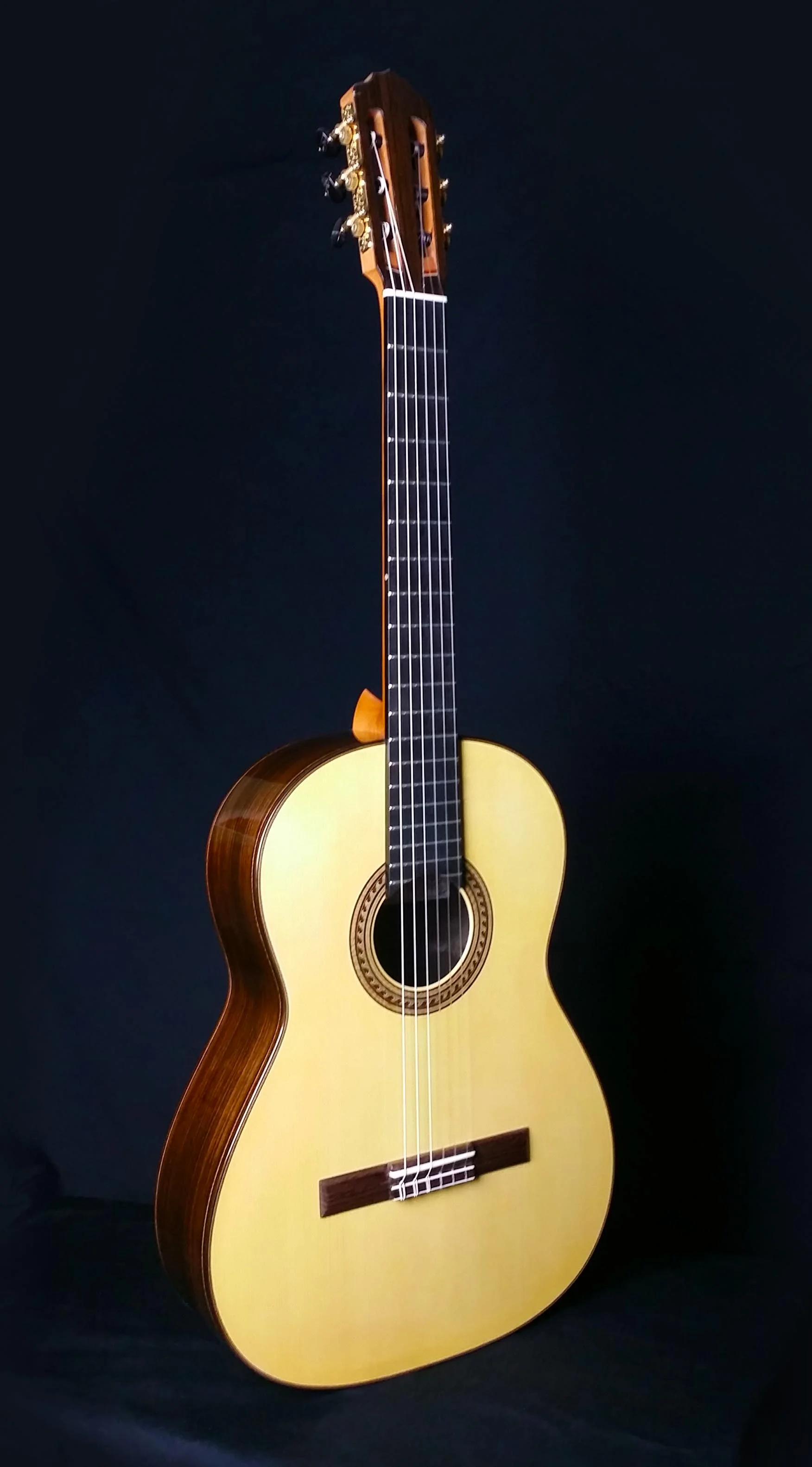 Sipe 2014 Indian Rosewood and Euro Spruce
