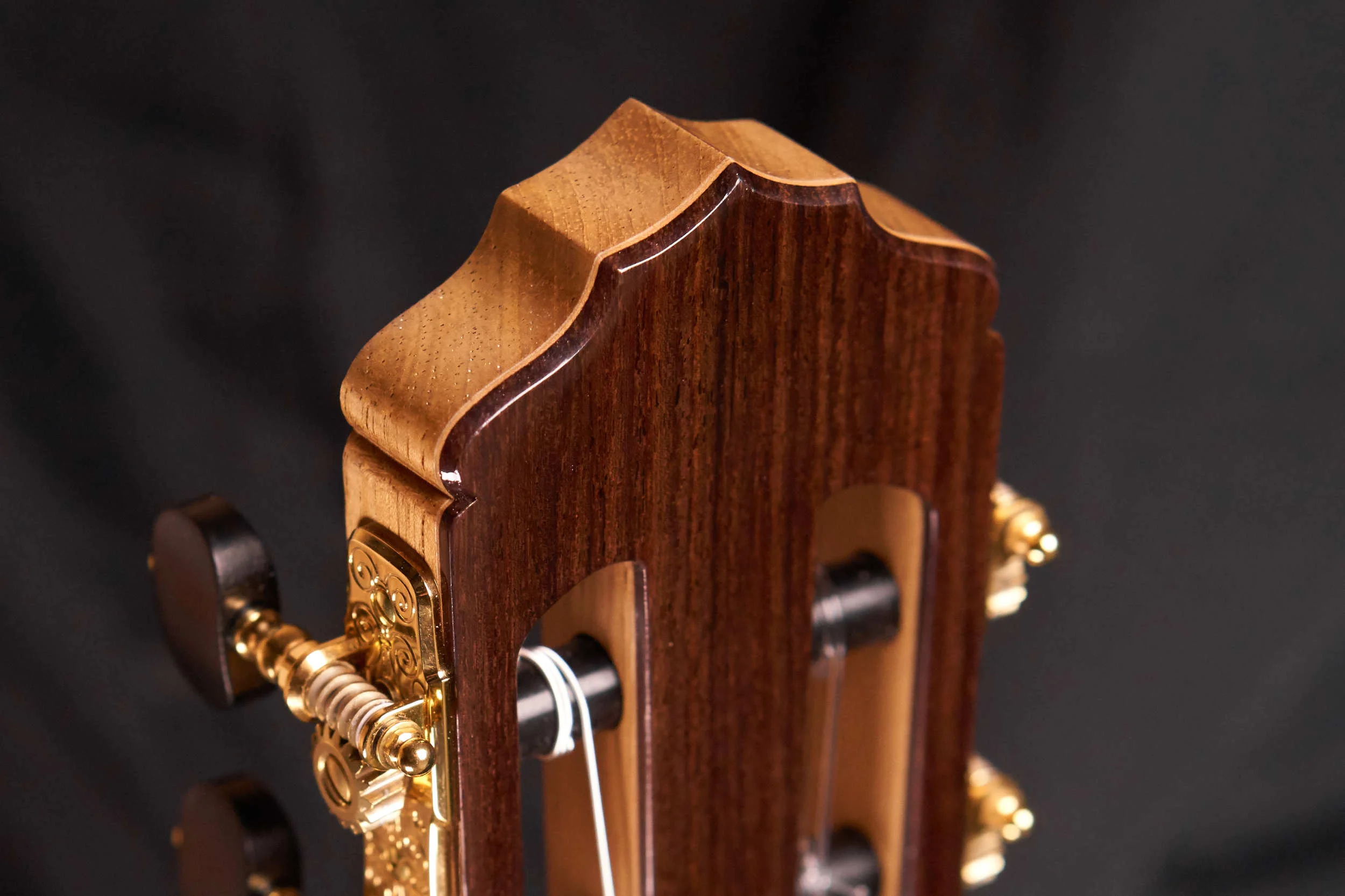 Headstock Detail