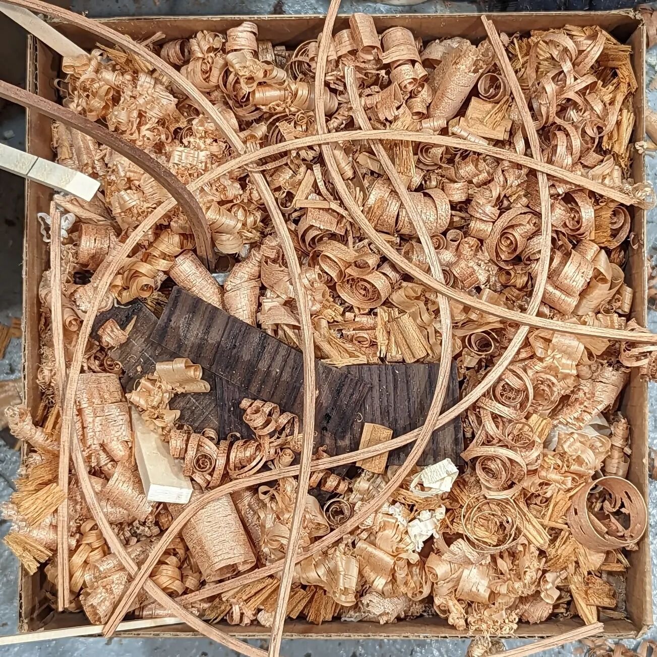 The &quot;not your guitar box of shavings&quot; and some laminated linings waiting to be shaped and glued in.  I'm trying to take some photos that don't look like every other photo I've posted

#compost #firestarter #boxofwood #guitarmaking #luthier