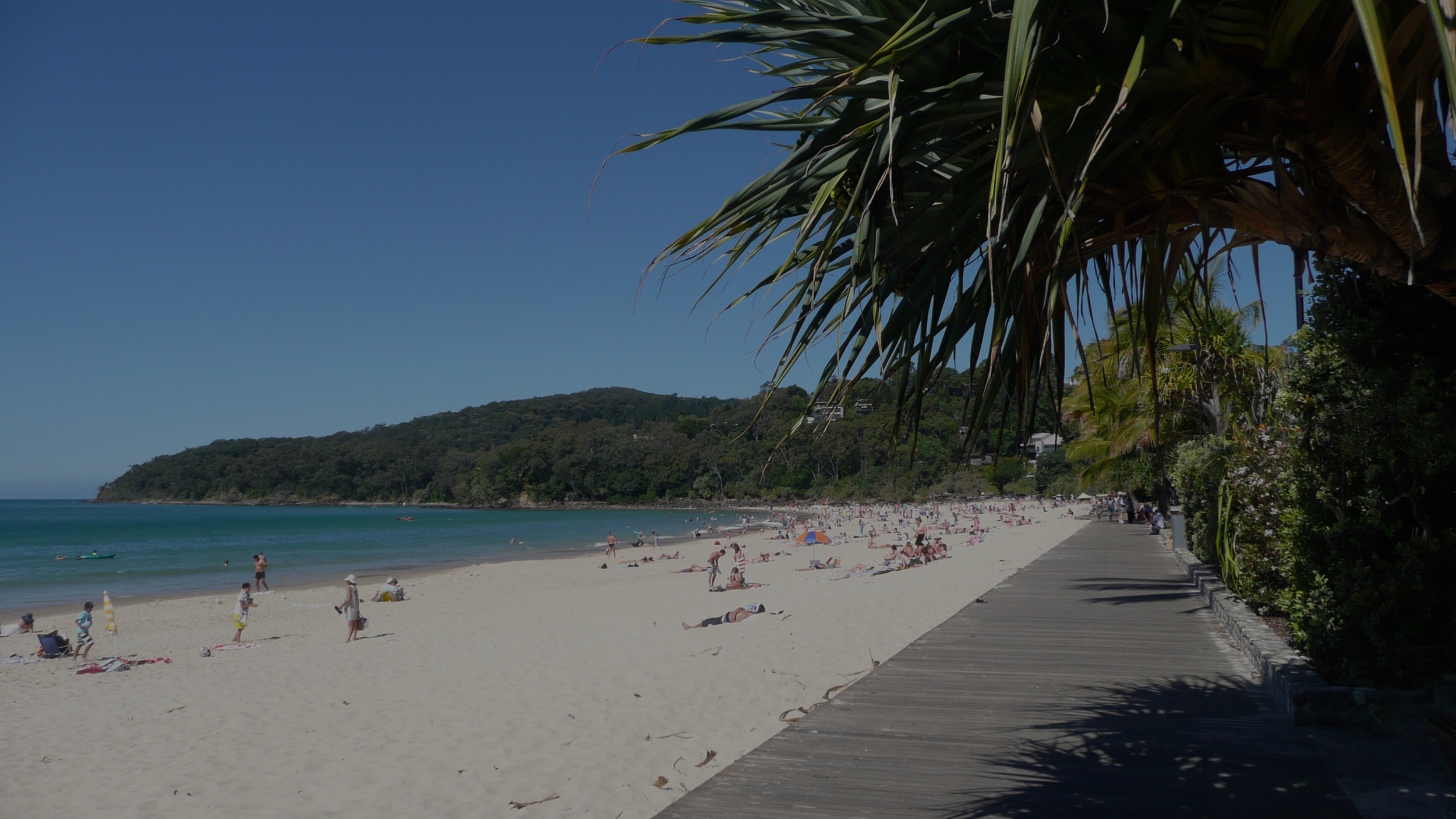 boardwalk 2 copy.jpeg