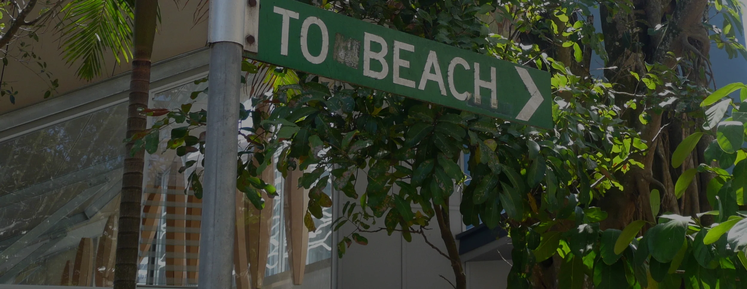 noosa+to+beach+crop copy.jpg