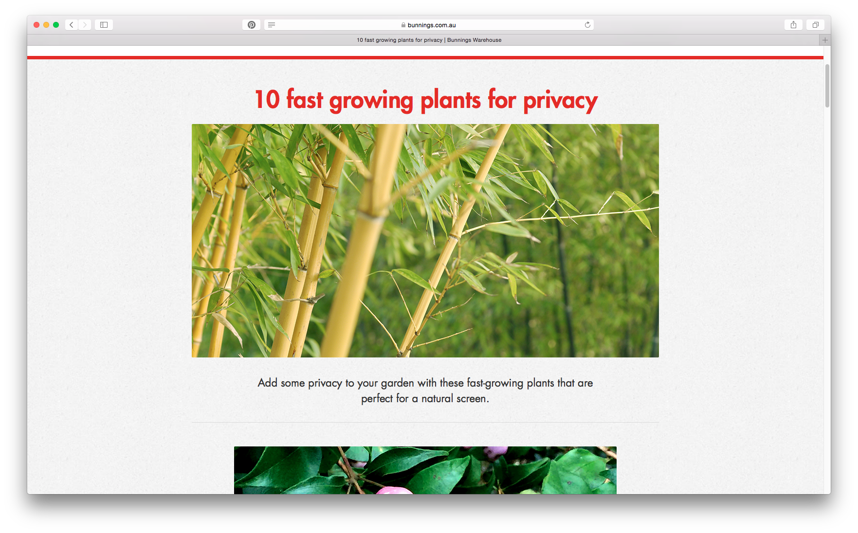 Screen Shot 2016-12-12 at 4.00.44 PM.png