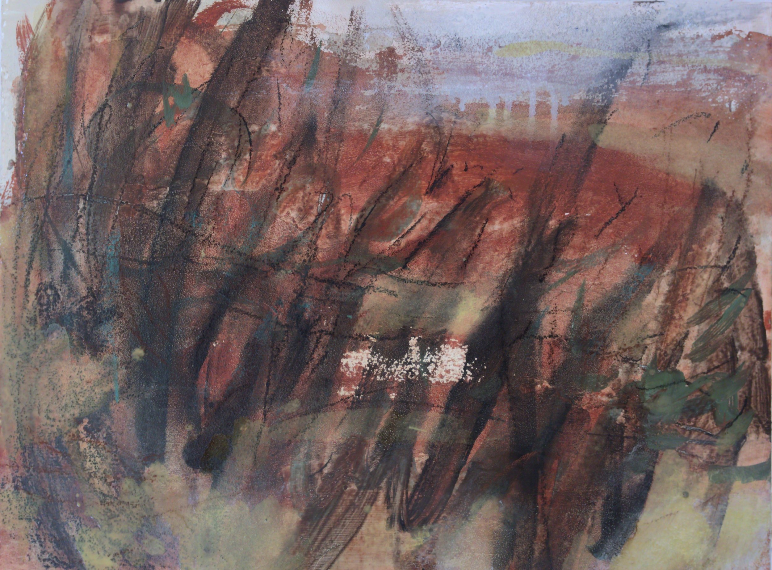 Thicket
