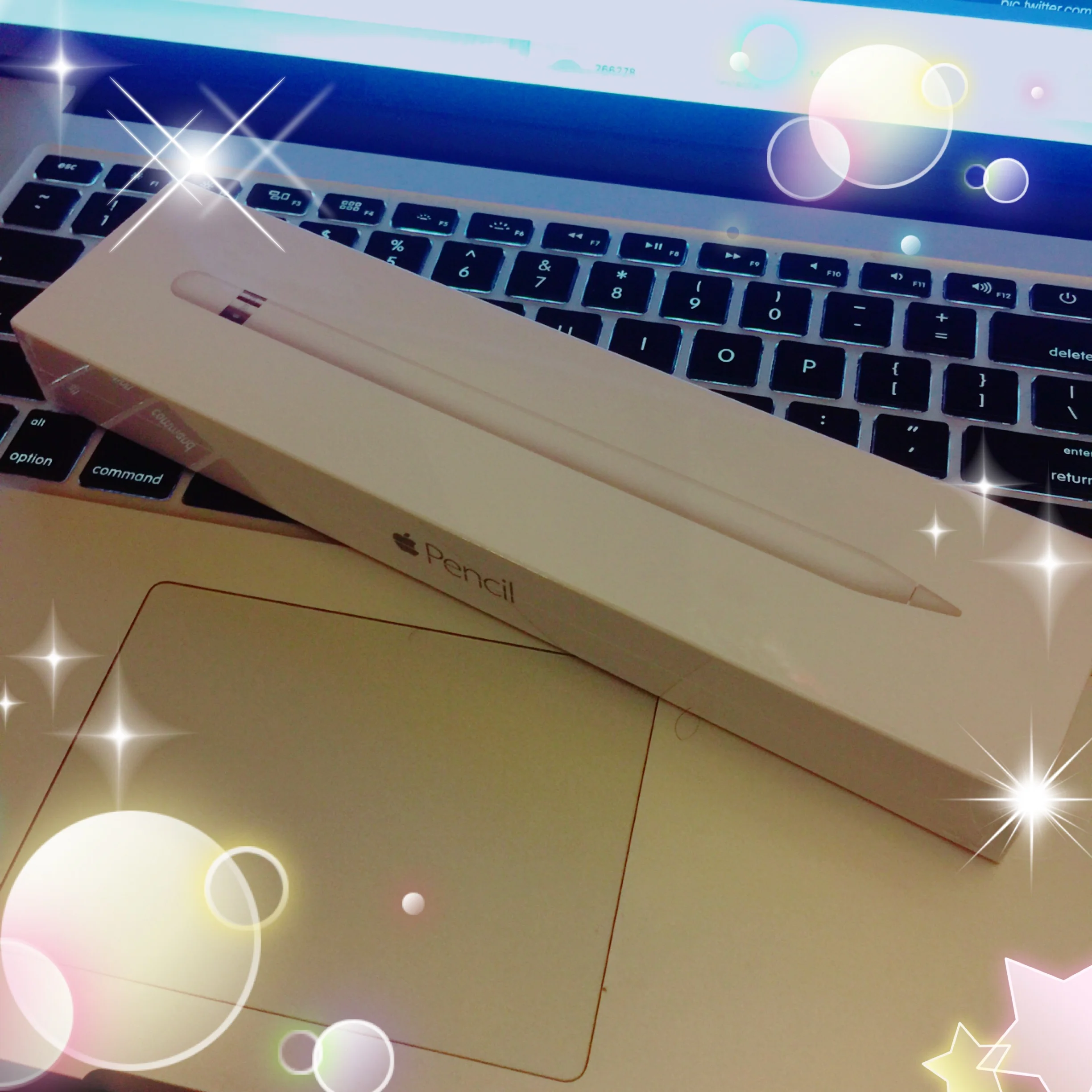 Apple Pencil - $99.00 USD Sparkles unfortunately not included with this either.