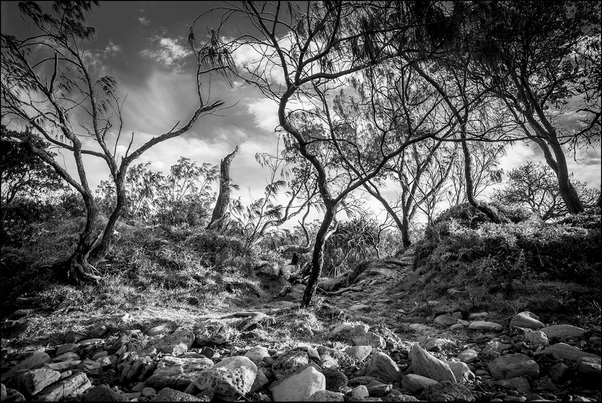 LANDSCAPE.jpg