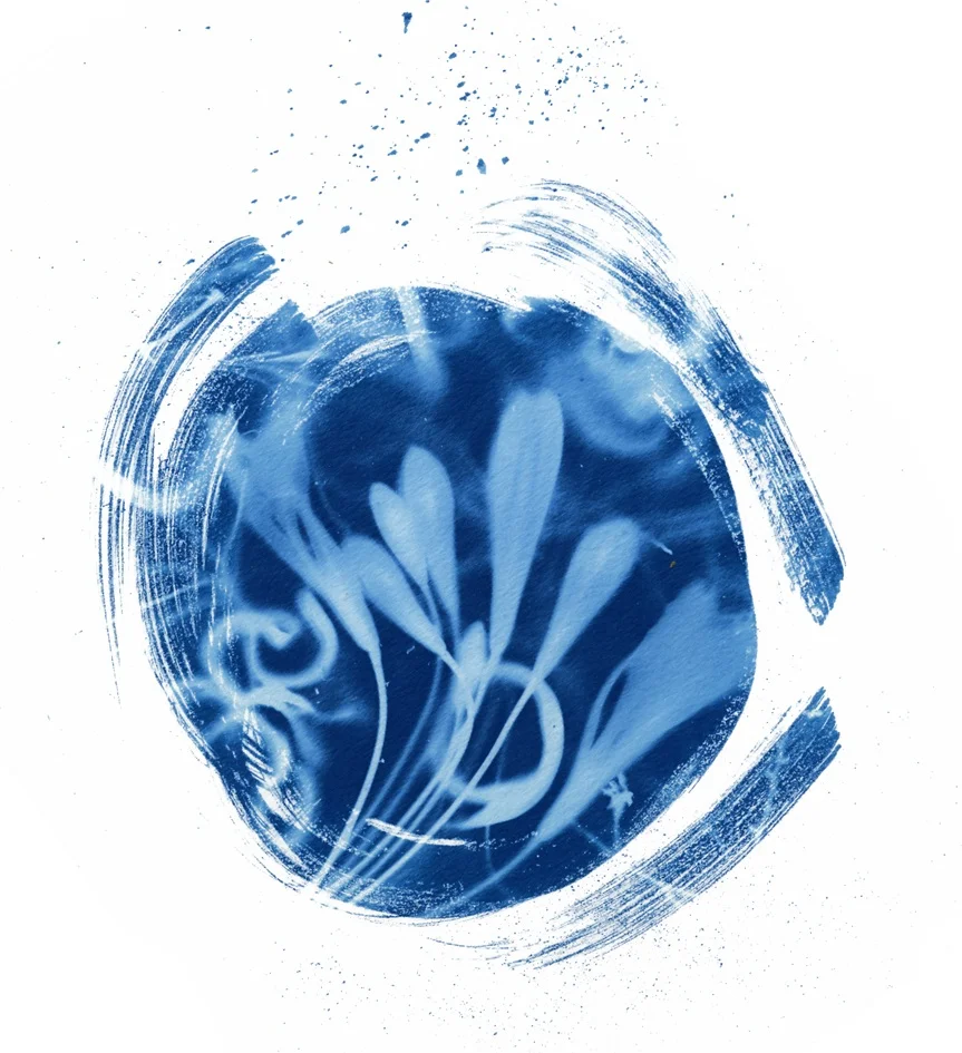 File 4-07-2015 11 52 31 pm.jpeg