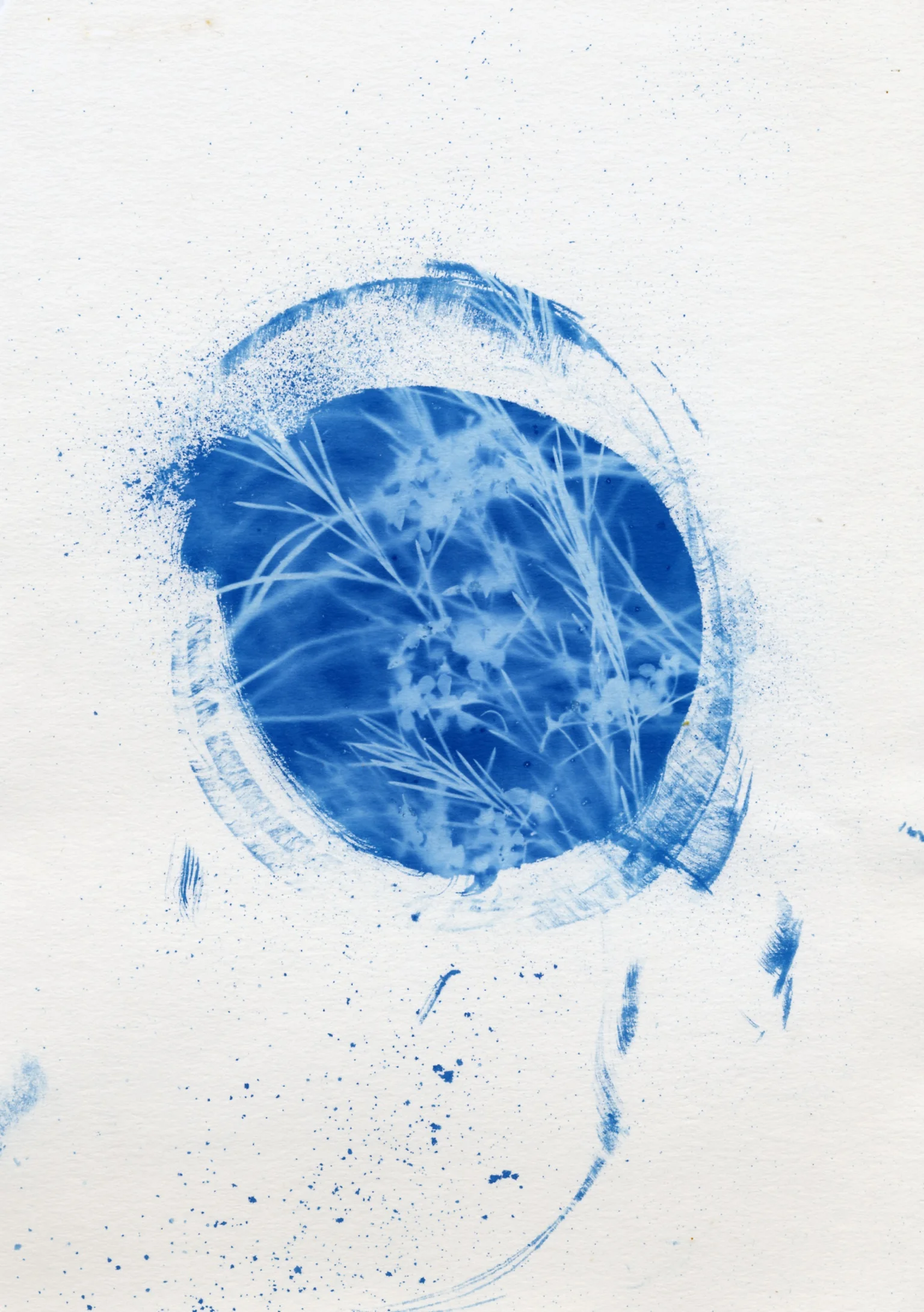 File 4-07-2015 11 53 25 pm.jpeg