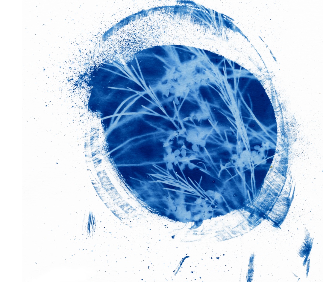 File 4-07-2015 11 54 44 pm.jpeg