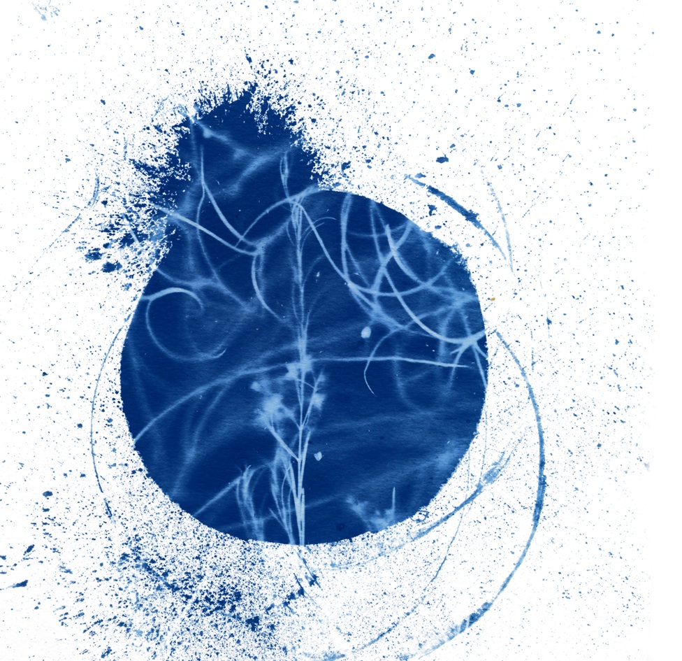 File 4-07-2015 11 55 00 pm.jpeg