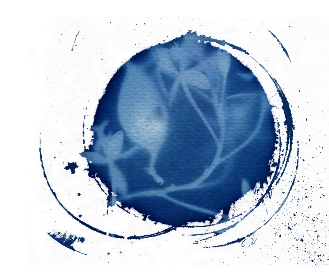 File 4-07-2015 11 55 16 pm.jpeg