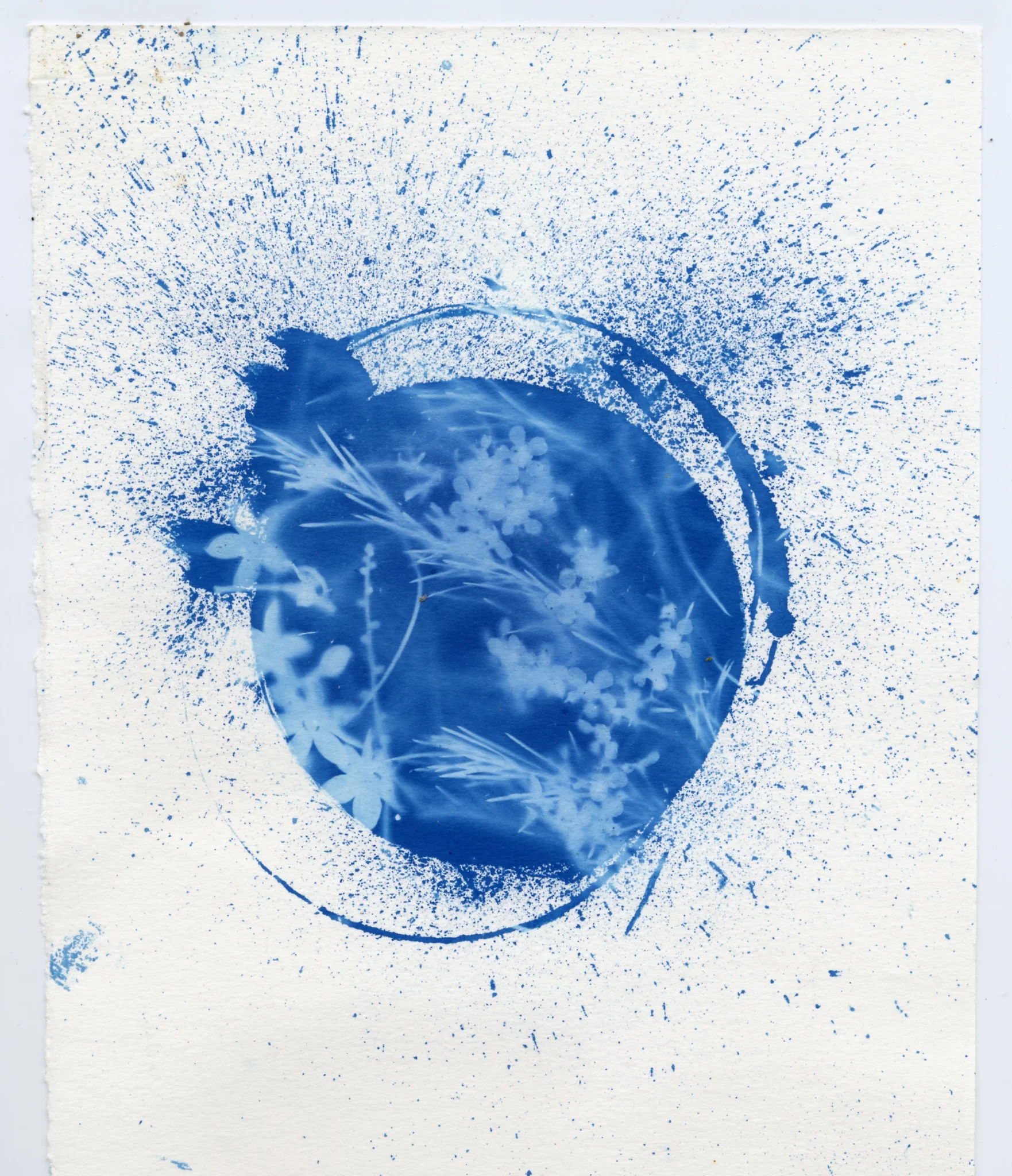 File 4-07-2015 11 55 43 pm.jpeg