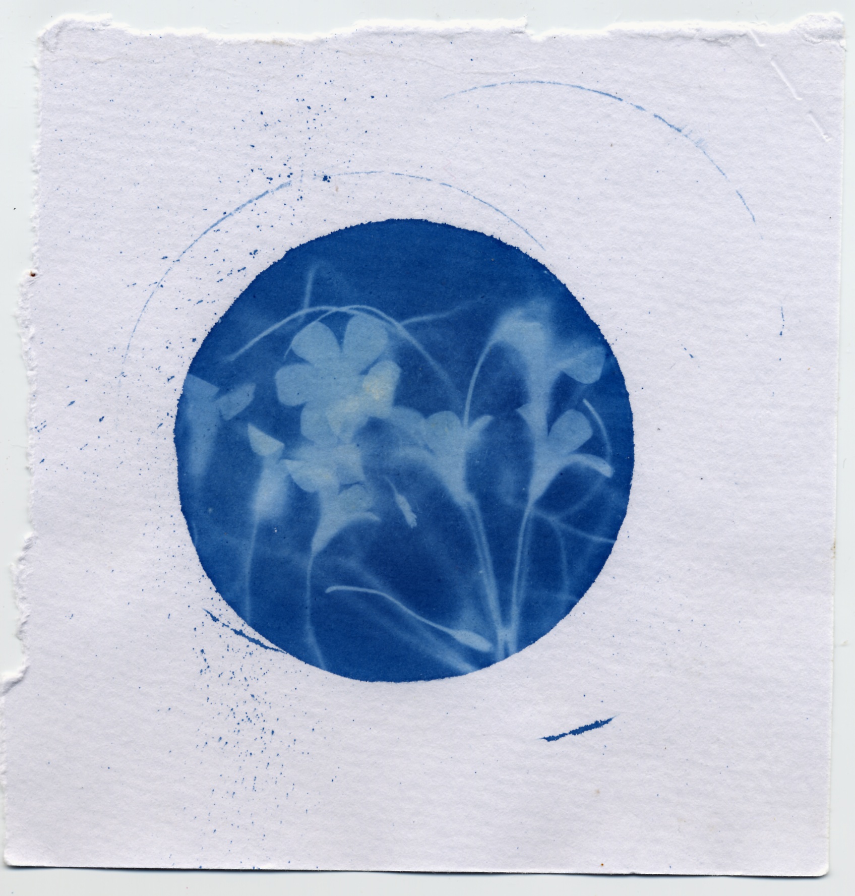 File 5-07-2015 12 01 33 am.jpeg