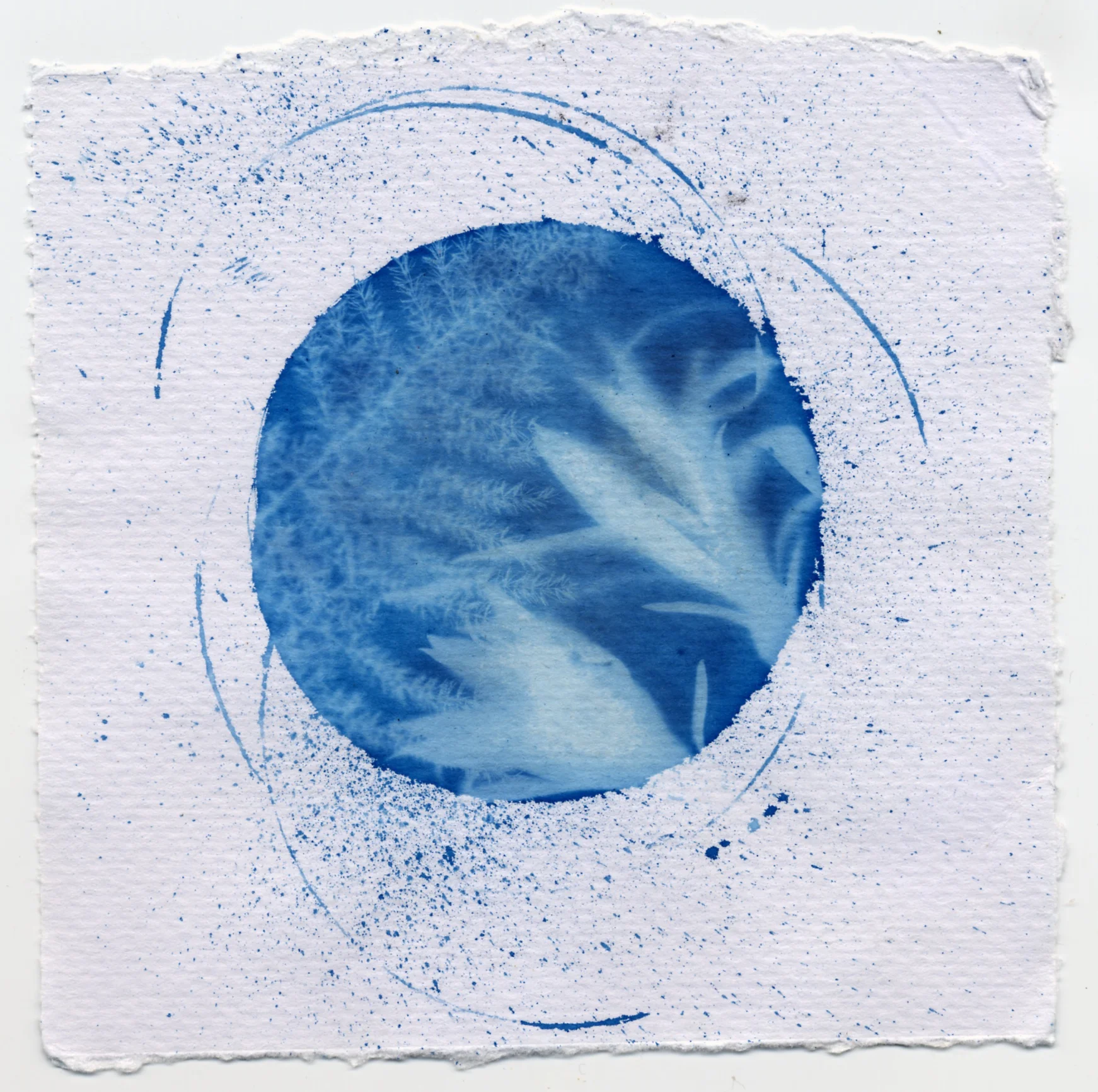 File 4-07-2015 11 59 39 pm.jpeg