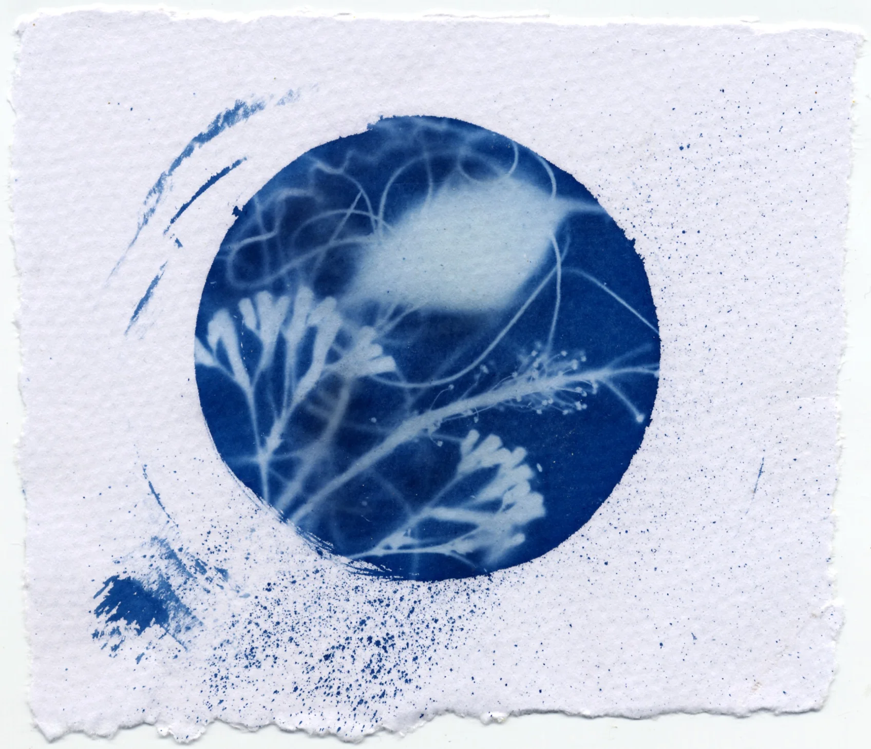 File 5-07-2015 12 03 28 am.jpeg