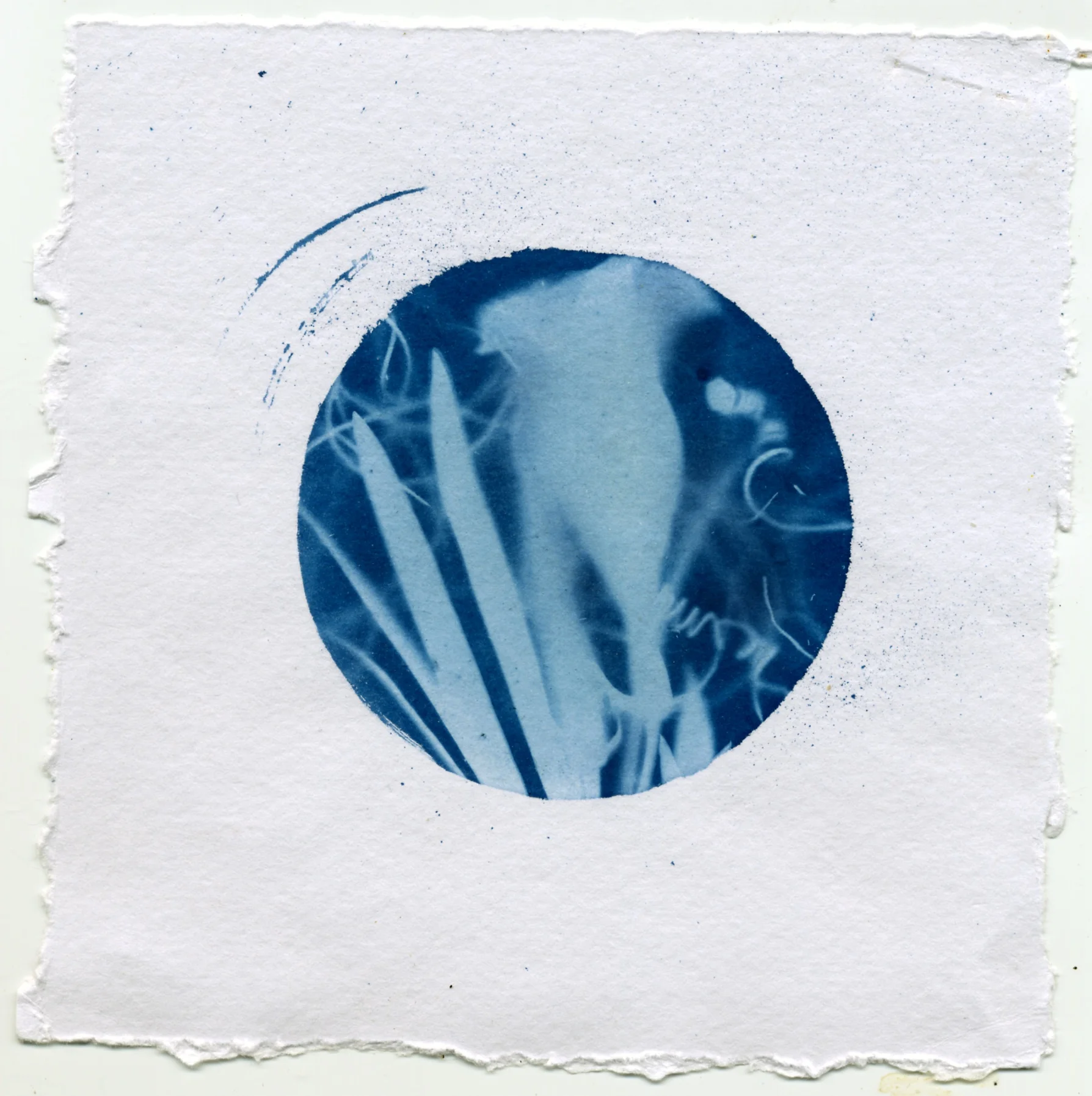 File 5-07-2015 12 04 09 am.jpeg