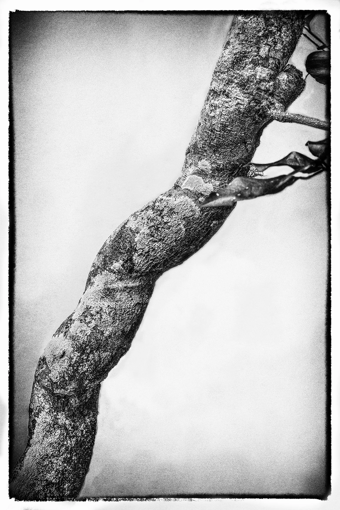Image 7_2.jpg