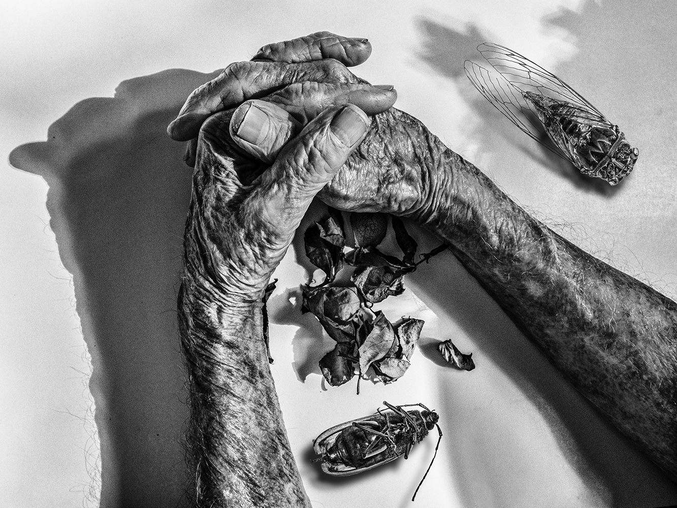 Hands_2.jpg