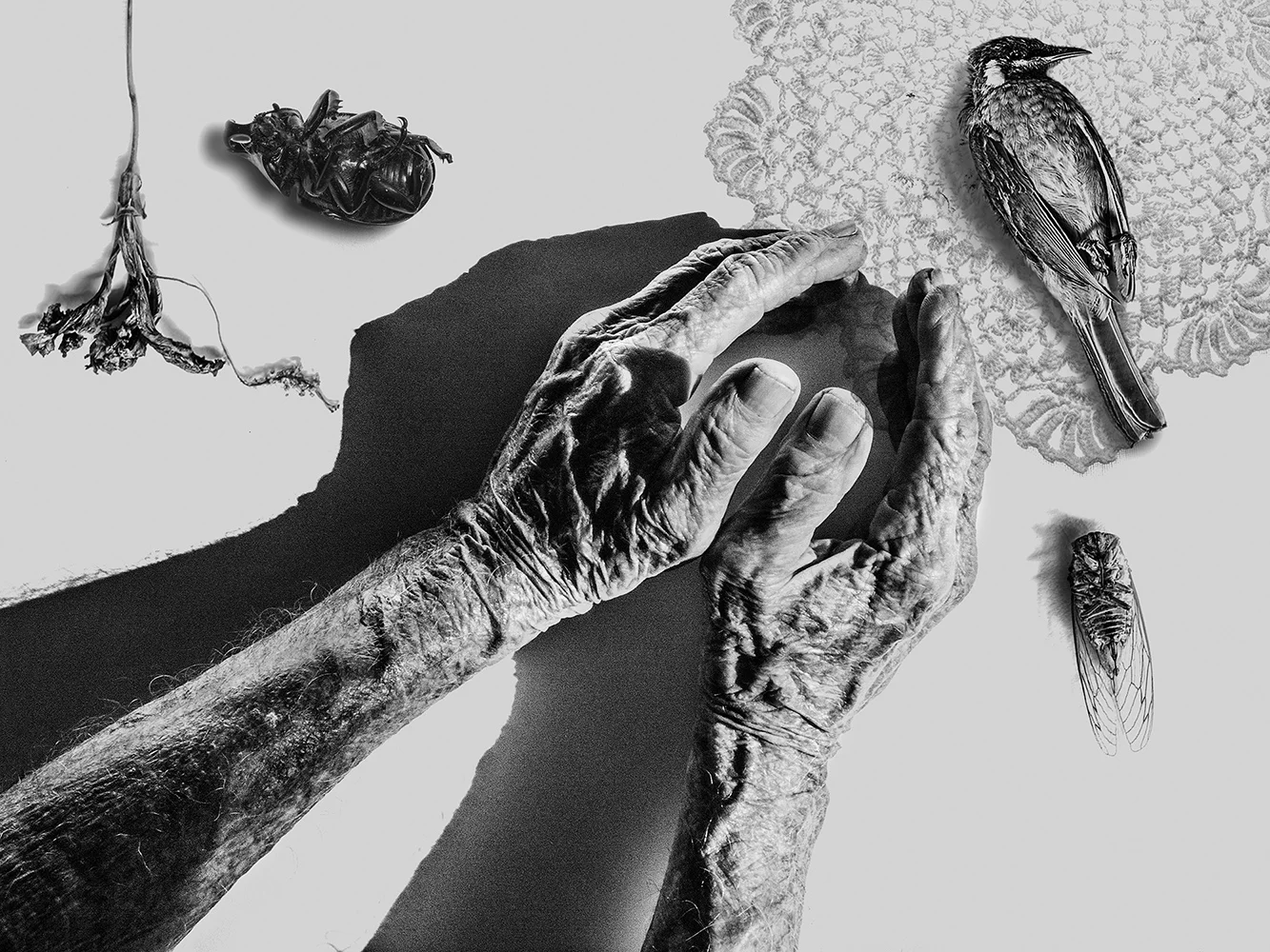 Hands_3.jpg