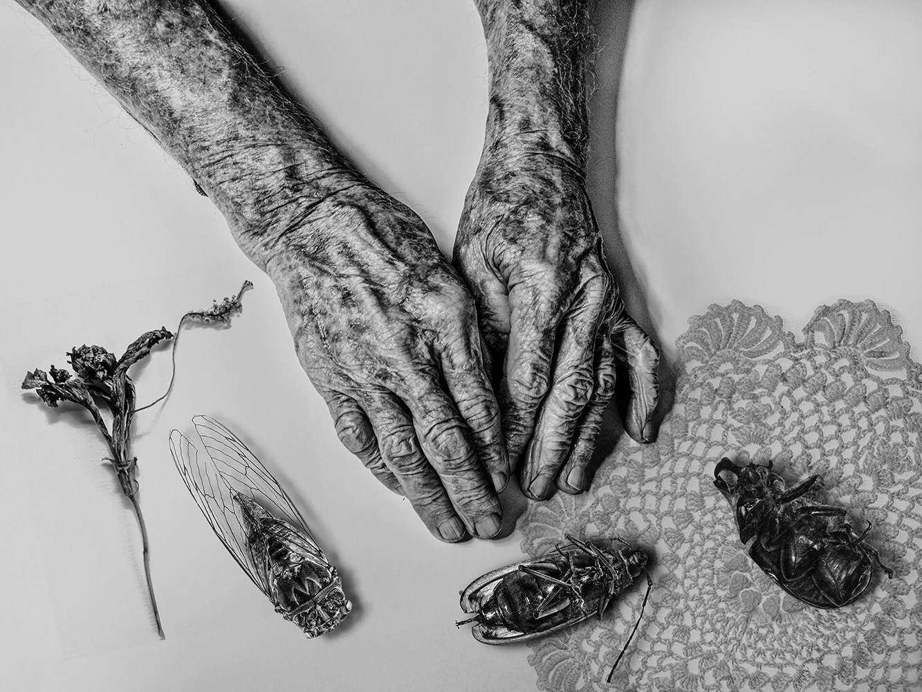 Hands_4.jpg