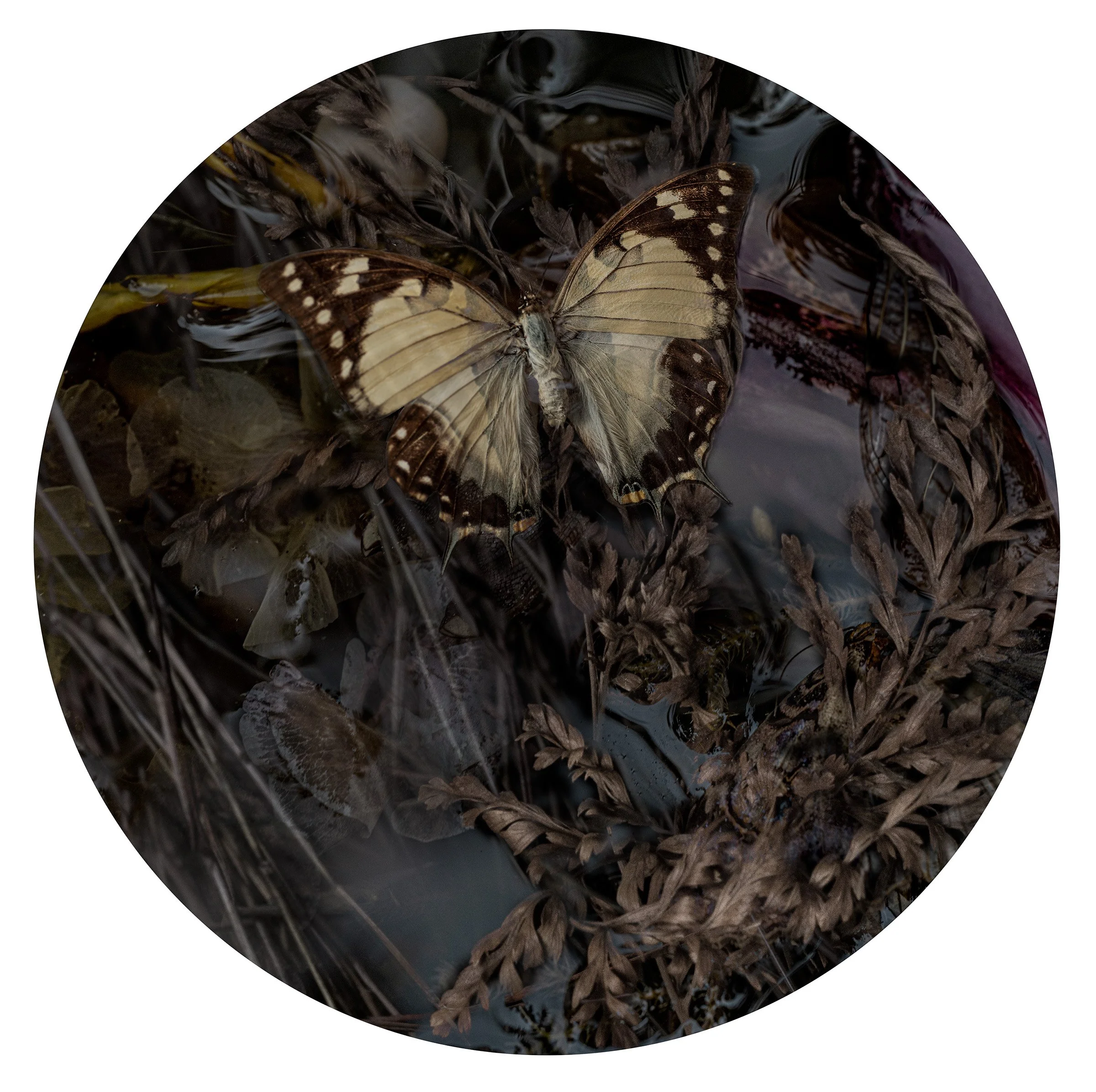 Project: Submersion