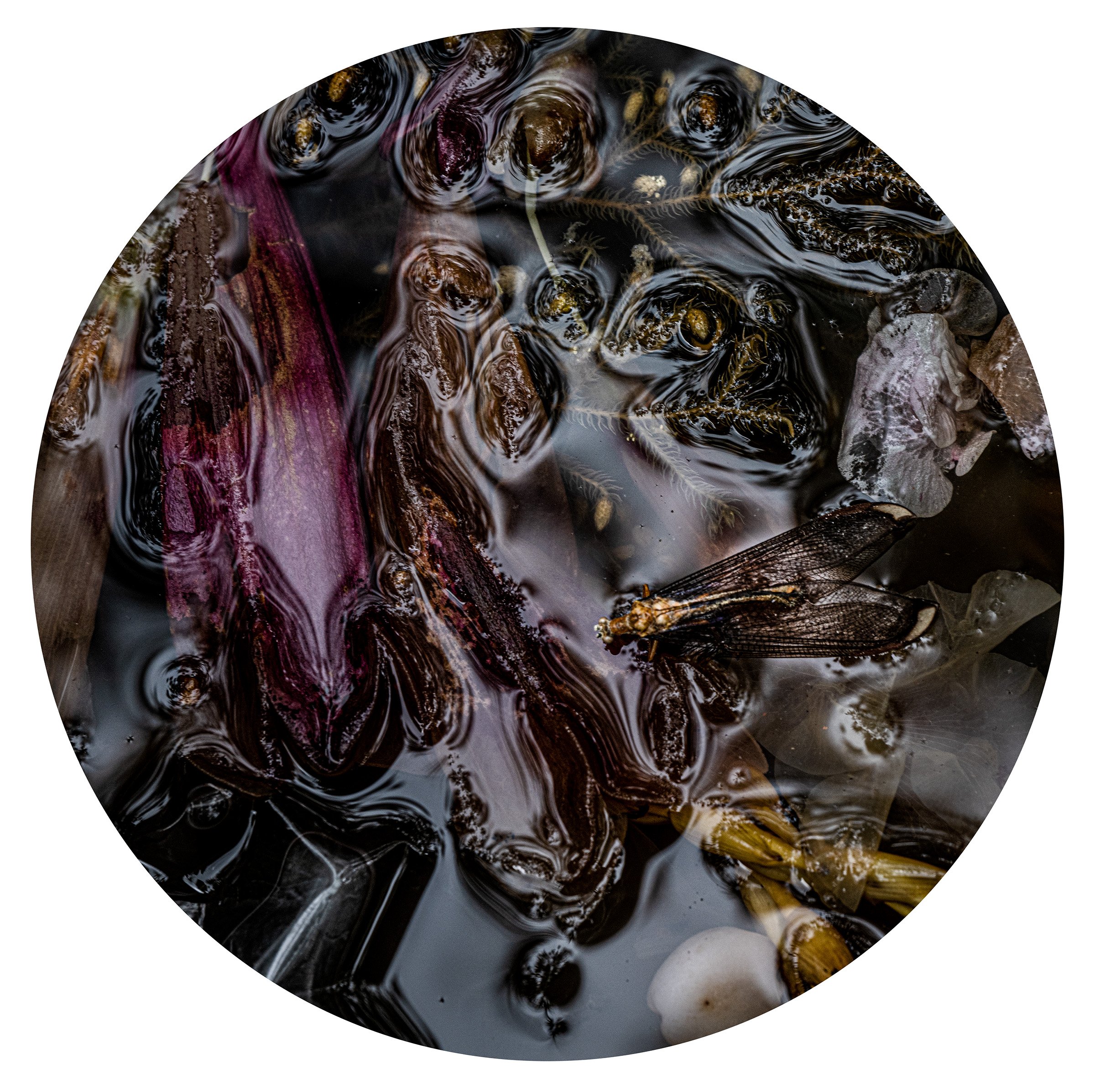 Project: Submersion