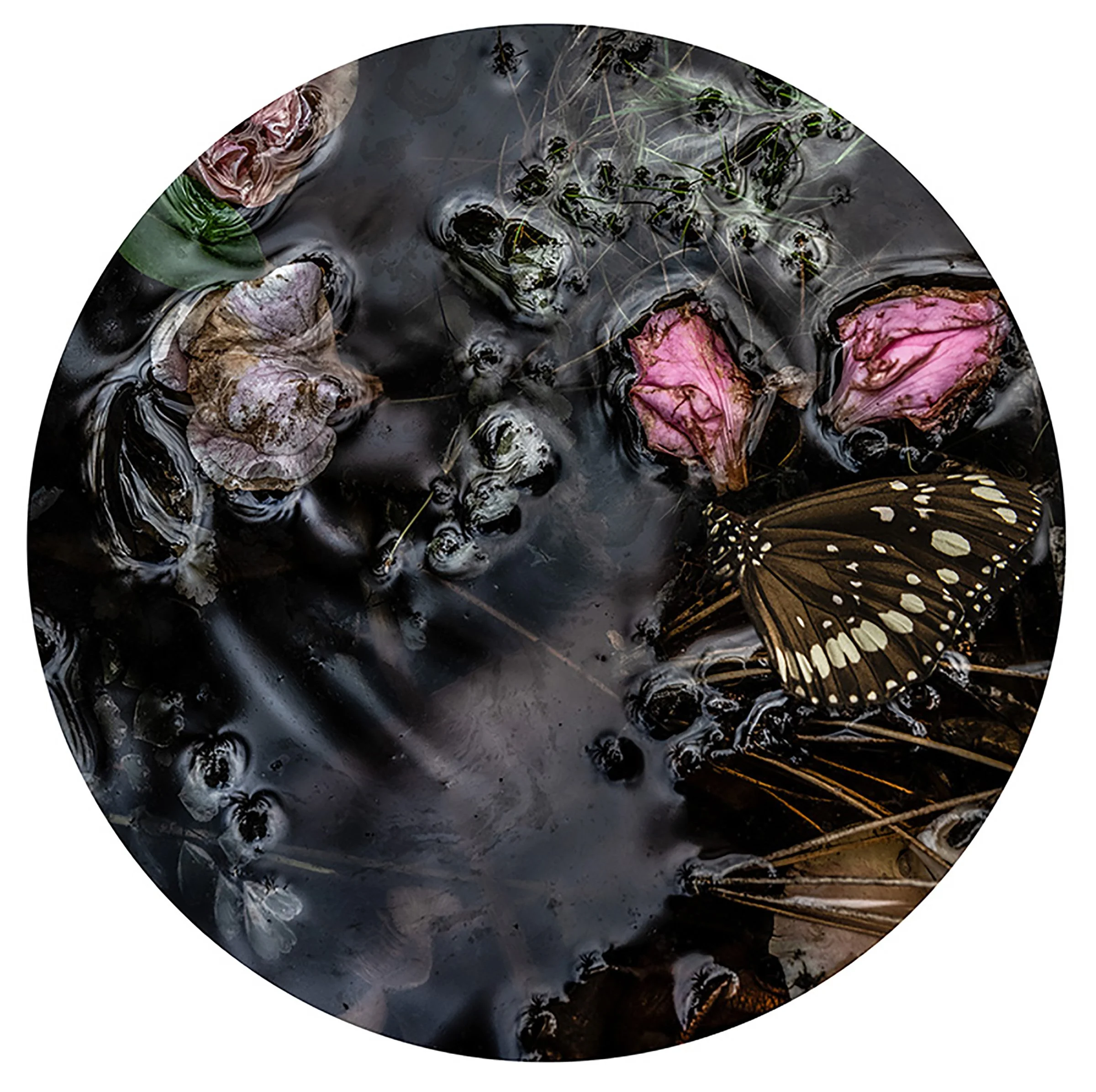Project: Submersion