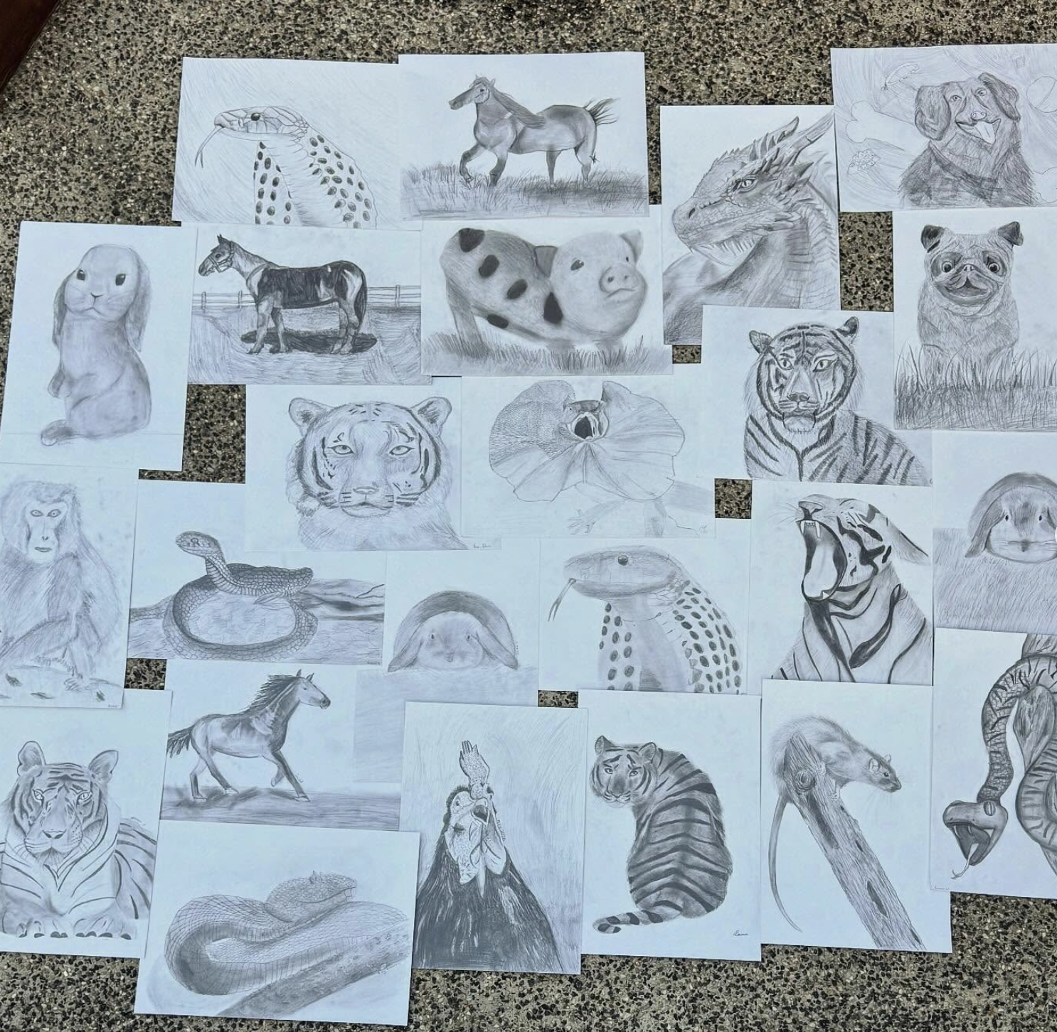 Screenshot 2026-02-16 at 2.14.19 pm.png