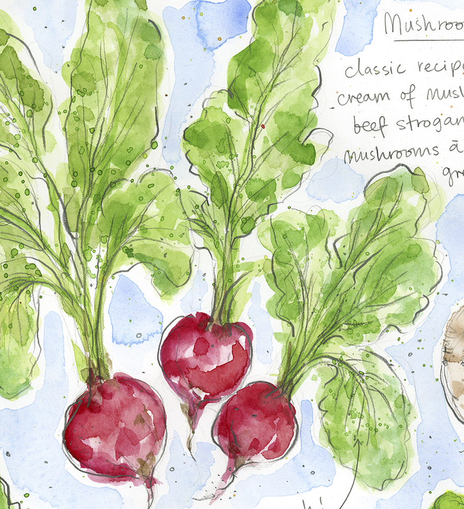 Vegetable_Print_close_up.jpg