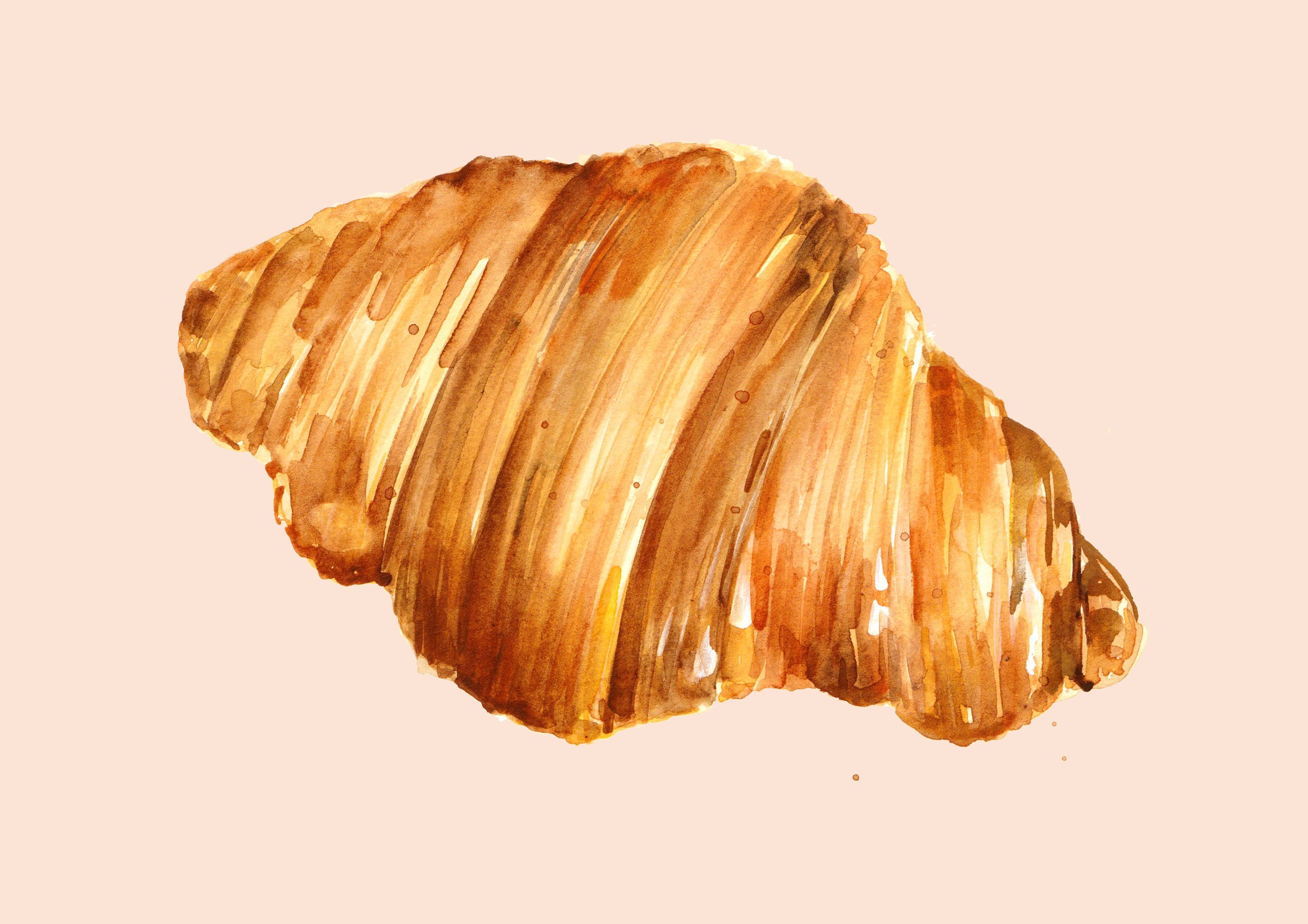 peach pink croissant lowres.jpg