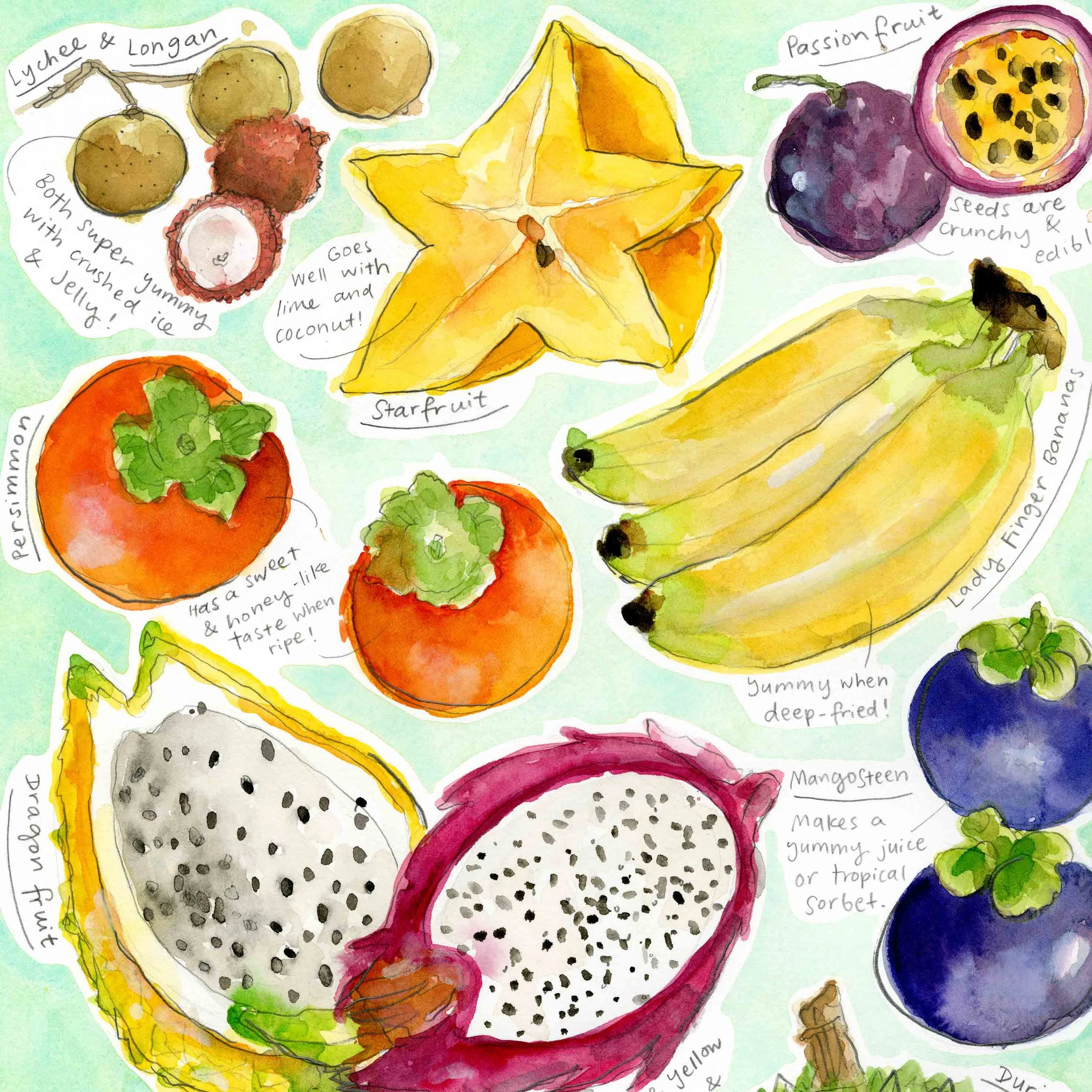 Tropical Fruit chart II cropped .jpg