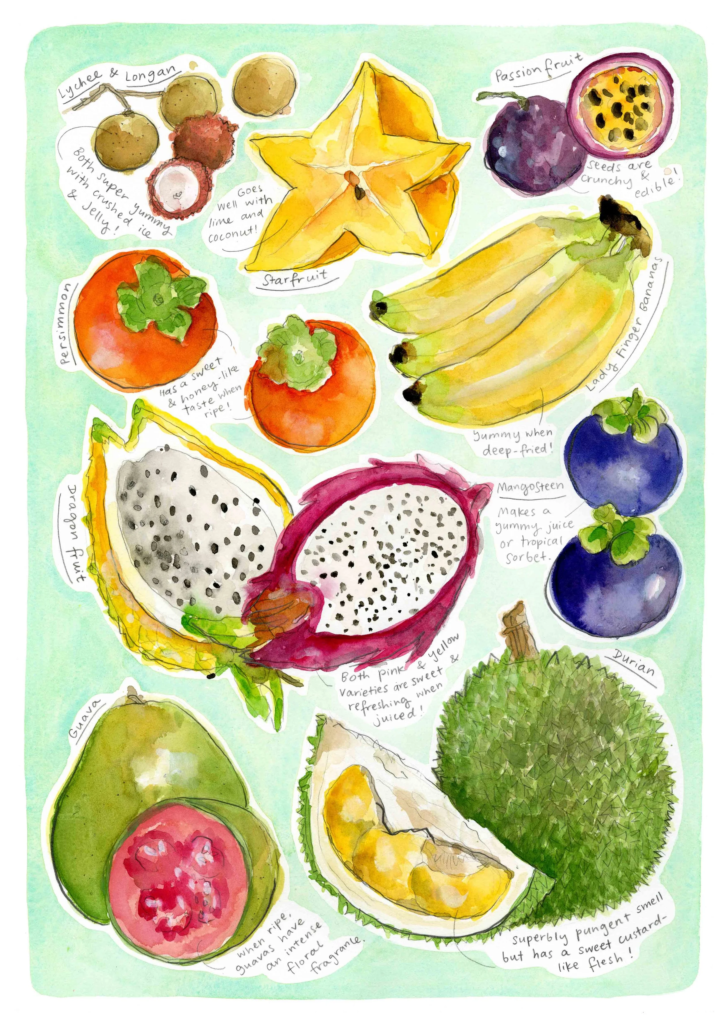 Tropical Fruit chart II .jpg