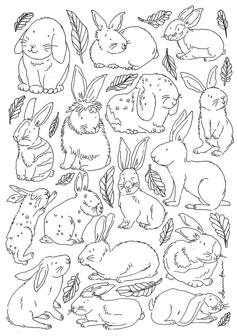 Bunnies Colouring In Chartlow res.jpg