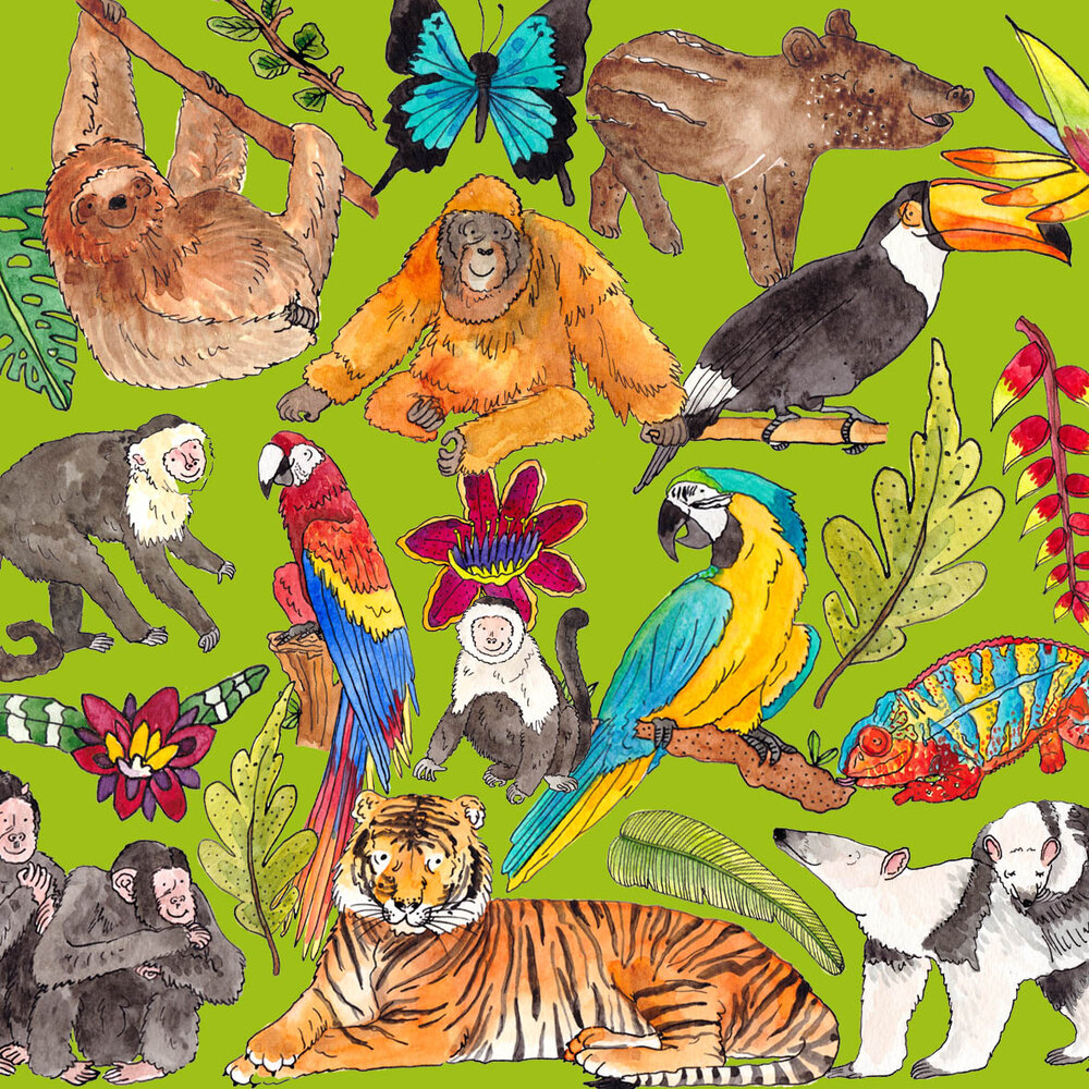 Rainforest Friends Colouring In Pages + Fun Facts Poster — Dawn Tan