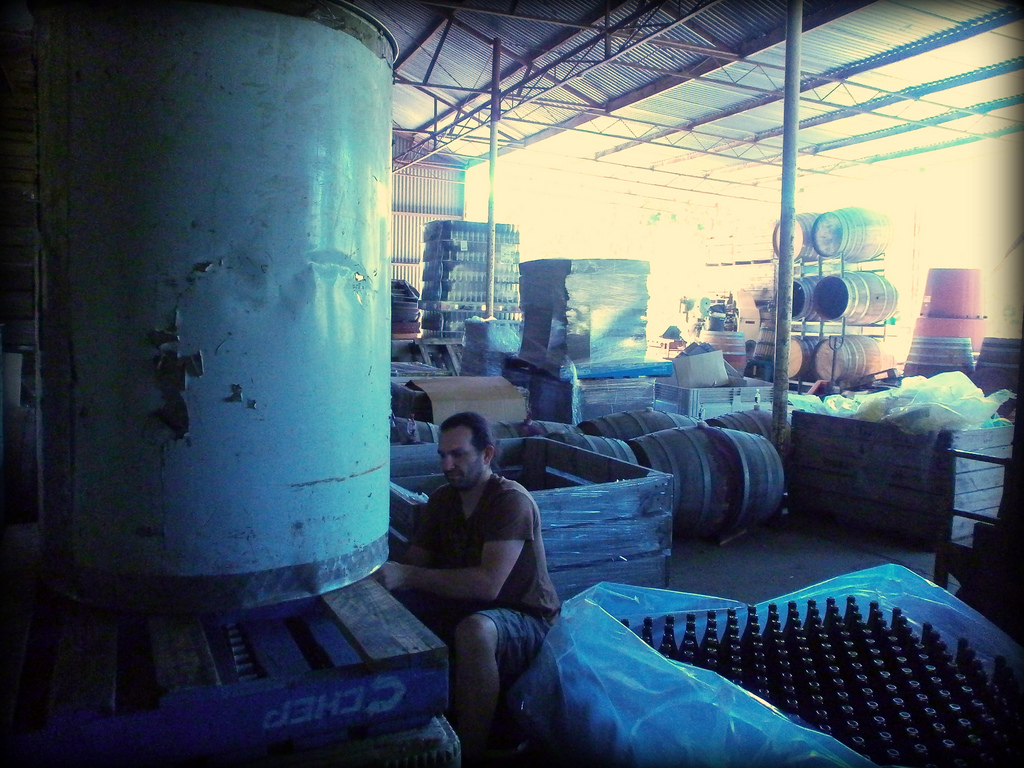 Bottling Grenache 2013