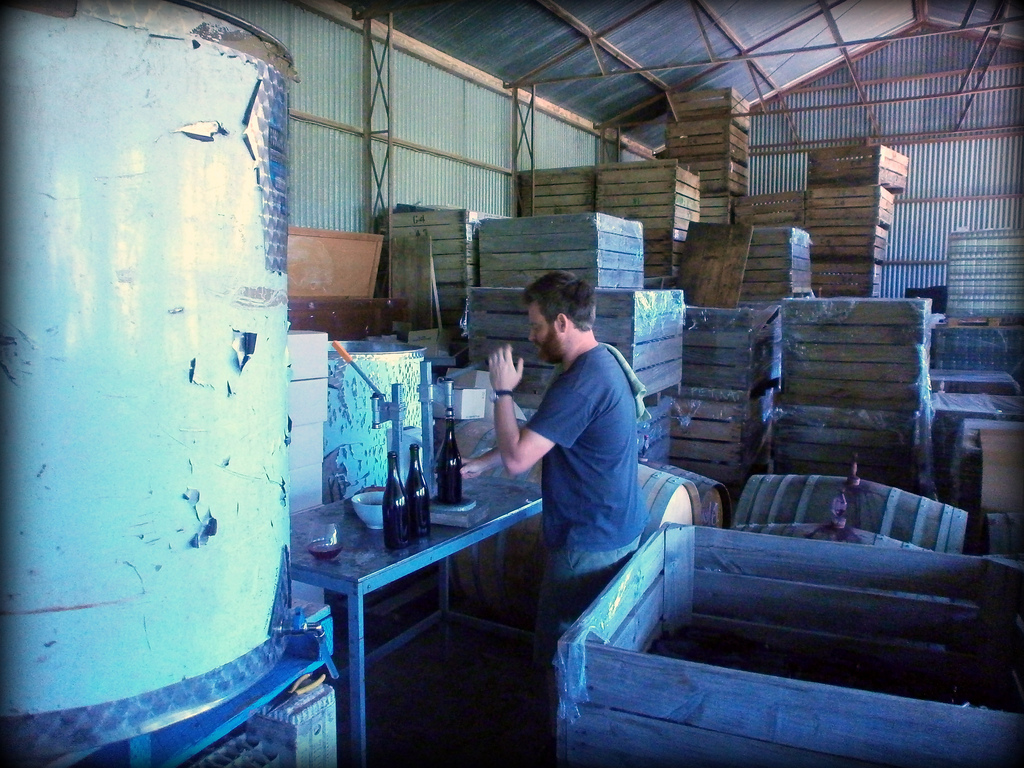 Bottling Grenache 2013